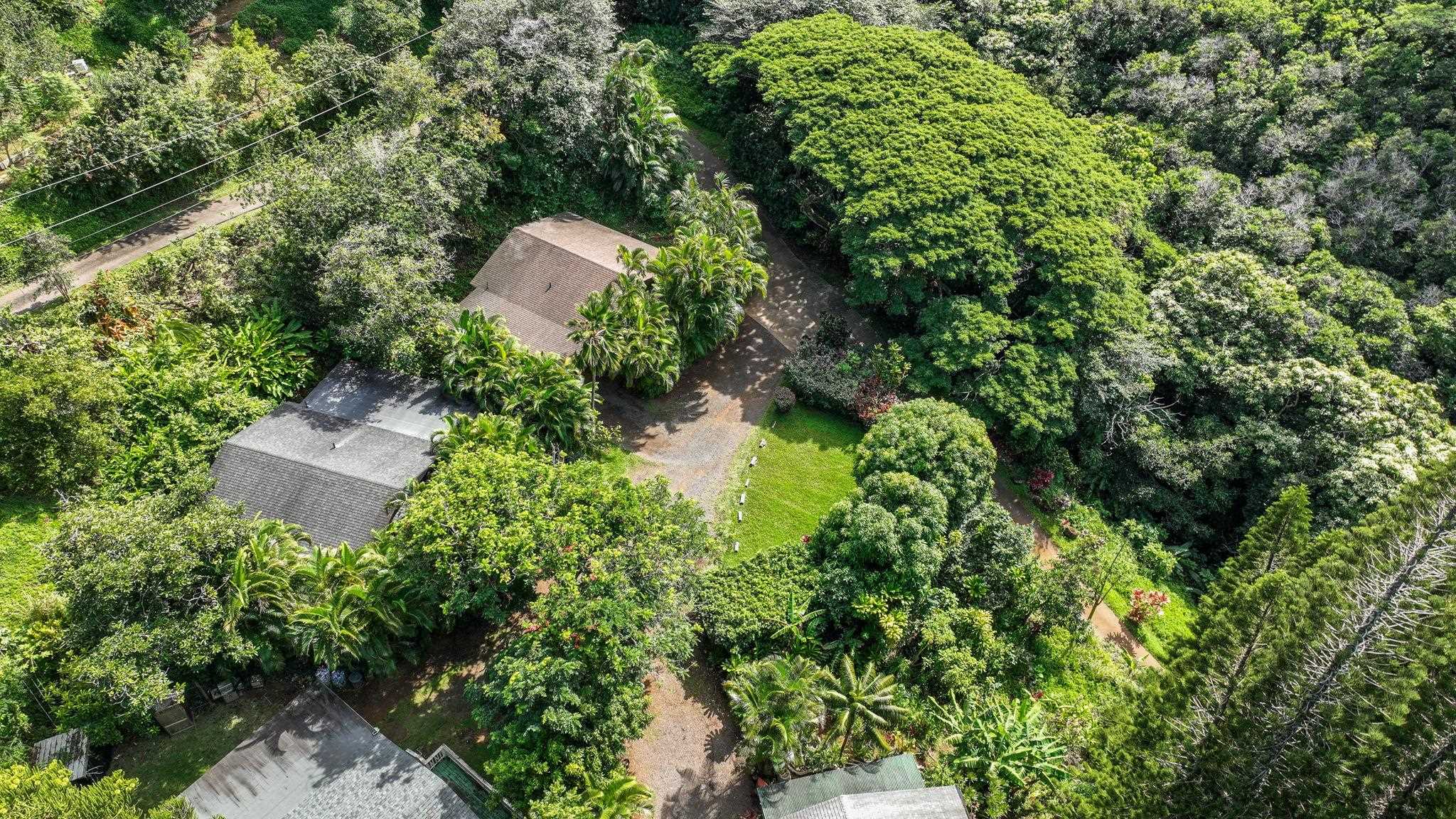 998  Kauhikoa Rd Kauhikoa, Haiku home - photo 41 of 42