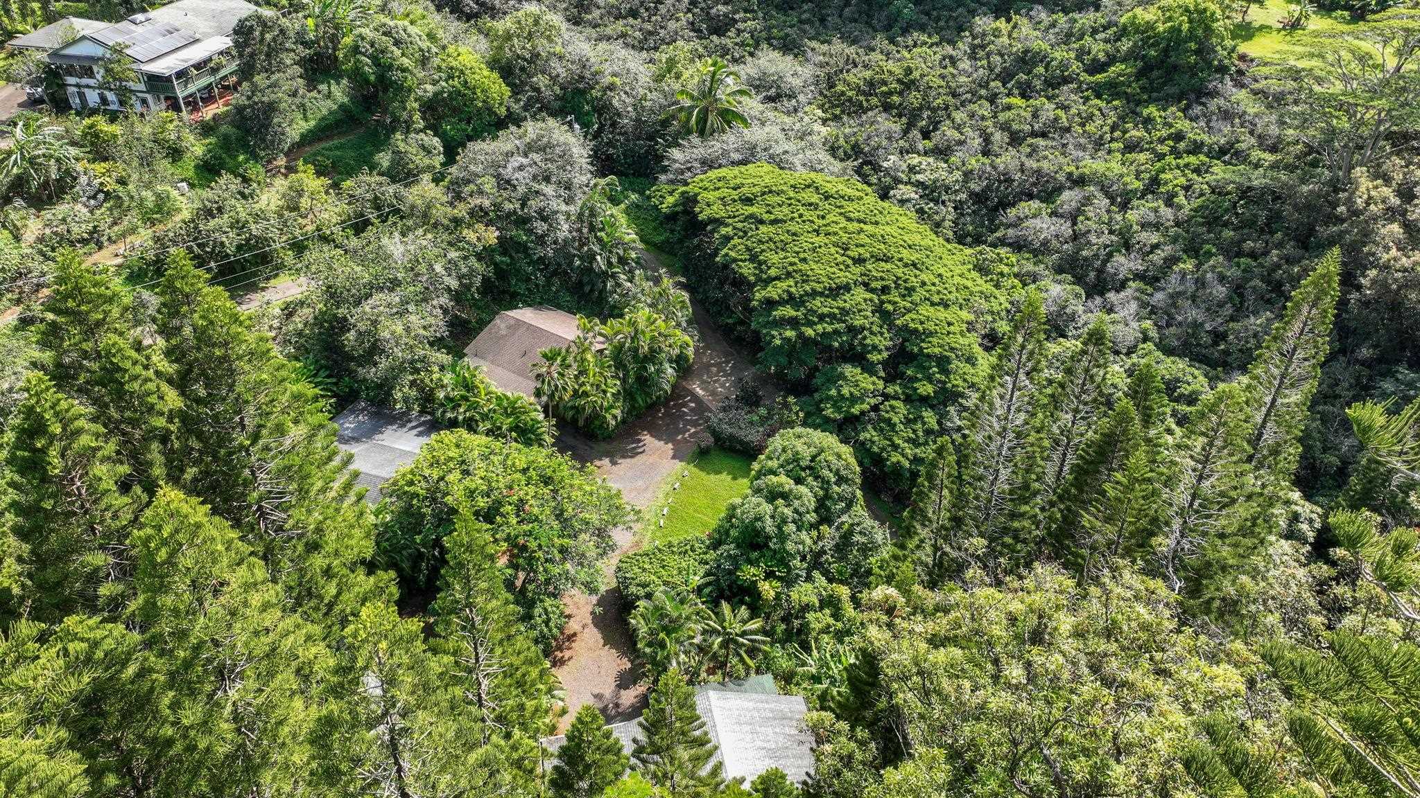 998  Kauhikoa Rd Kauhikoa, Haiku home - photo 42 of 42