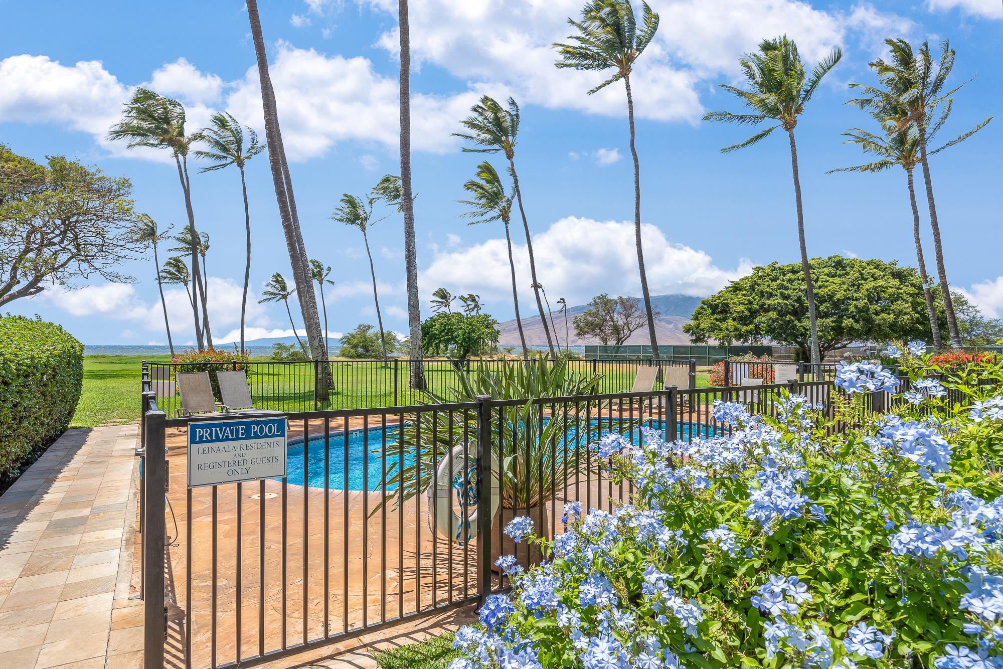 Leinaala condo # 101, Kihei, Hawaii - photo 15 of 22