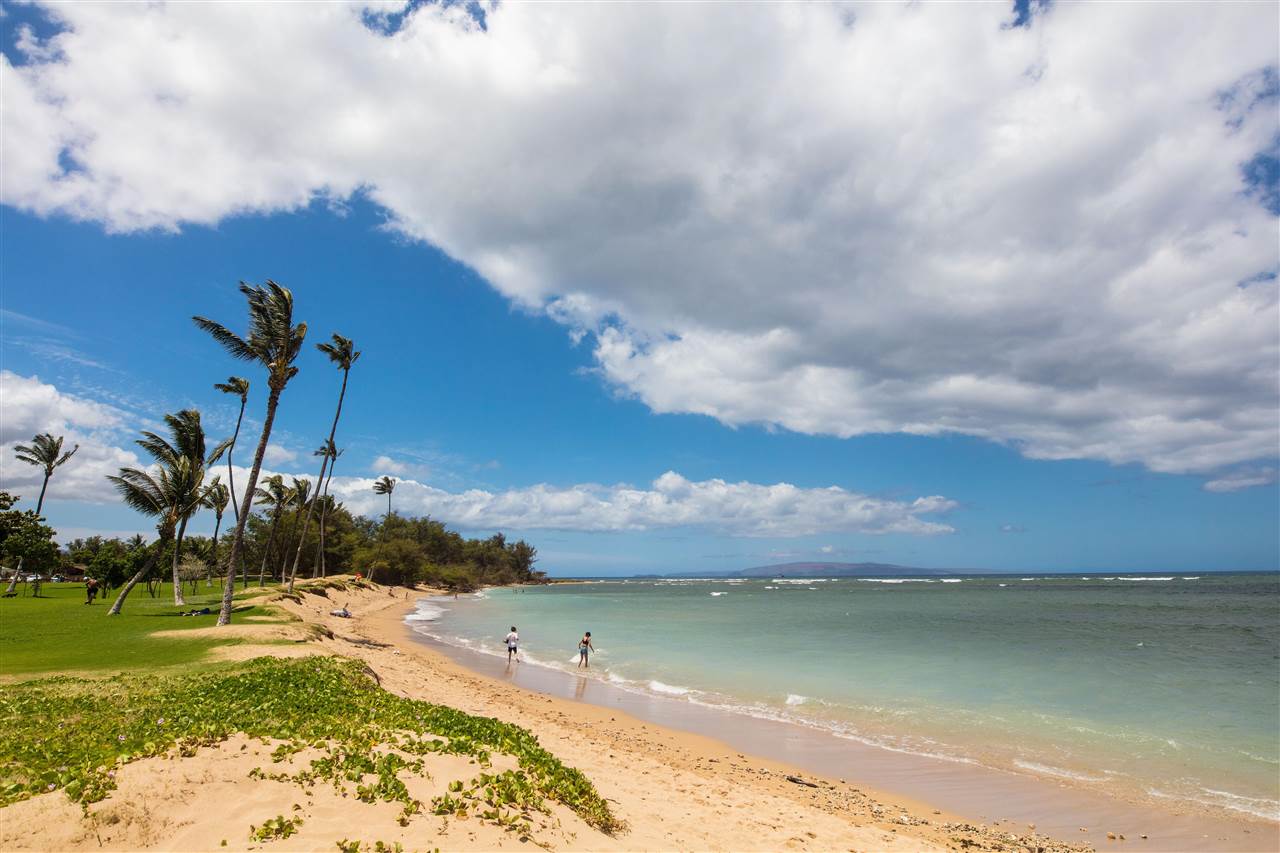 Leinaala condo # 203, Kihei, Hawaii - photo 3 of 28