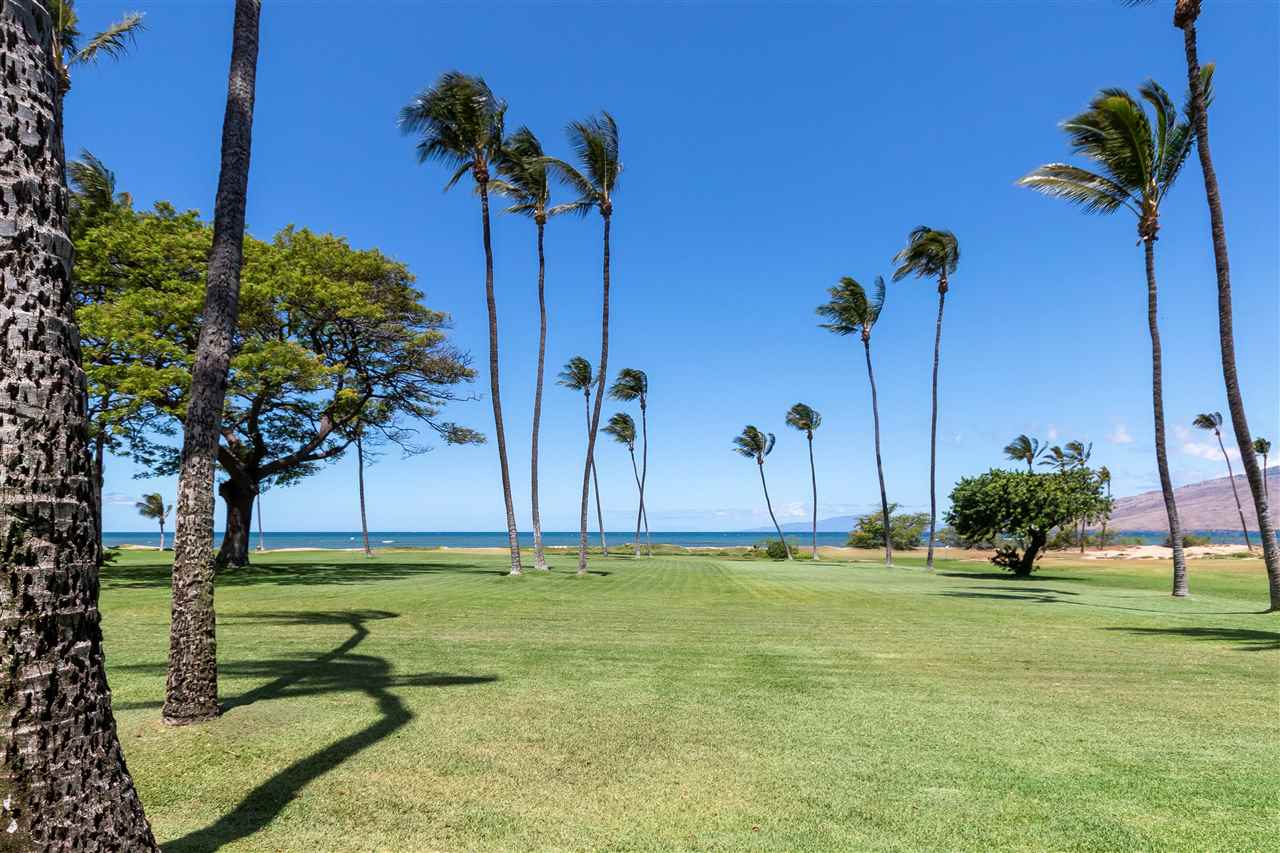 Leinaala condo # 203, Kihei, Hawaii - photo 25 of 28