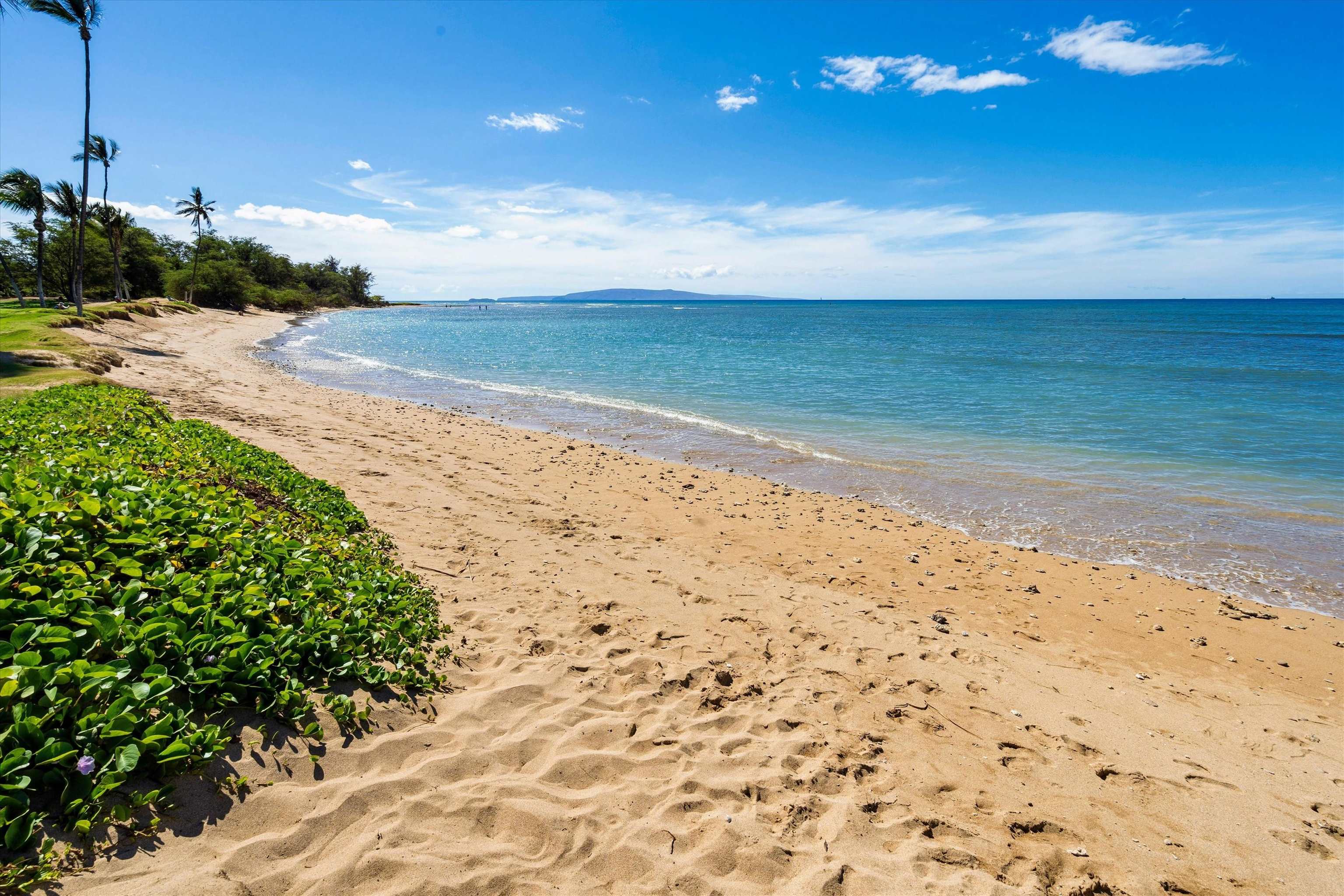 Leinaala condo # 404, Kihei, Hawaii - photo 30 of 45