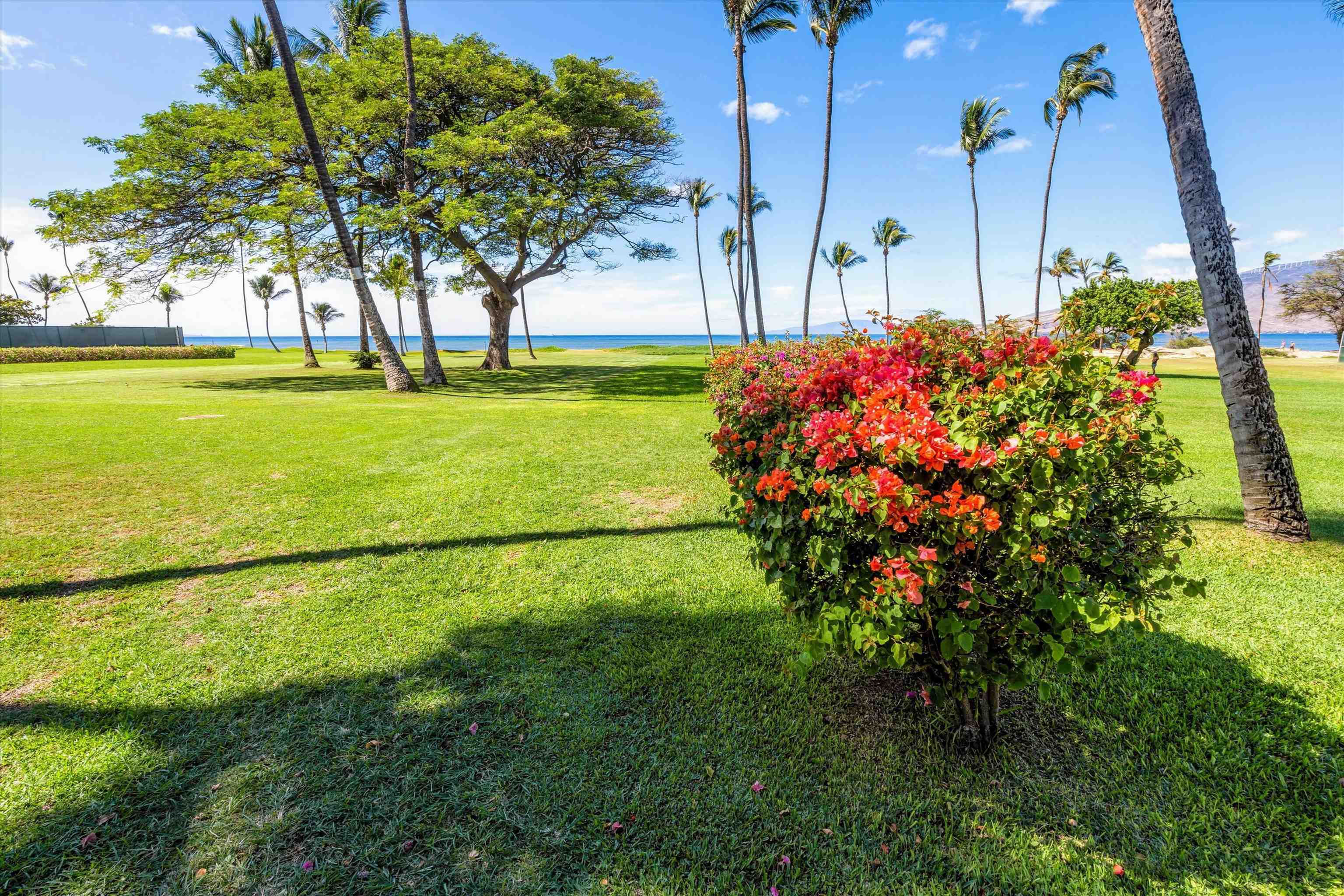 Leinaala condo # 404, Kihei, Hawaii - photo 40 of 45