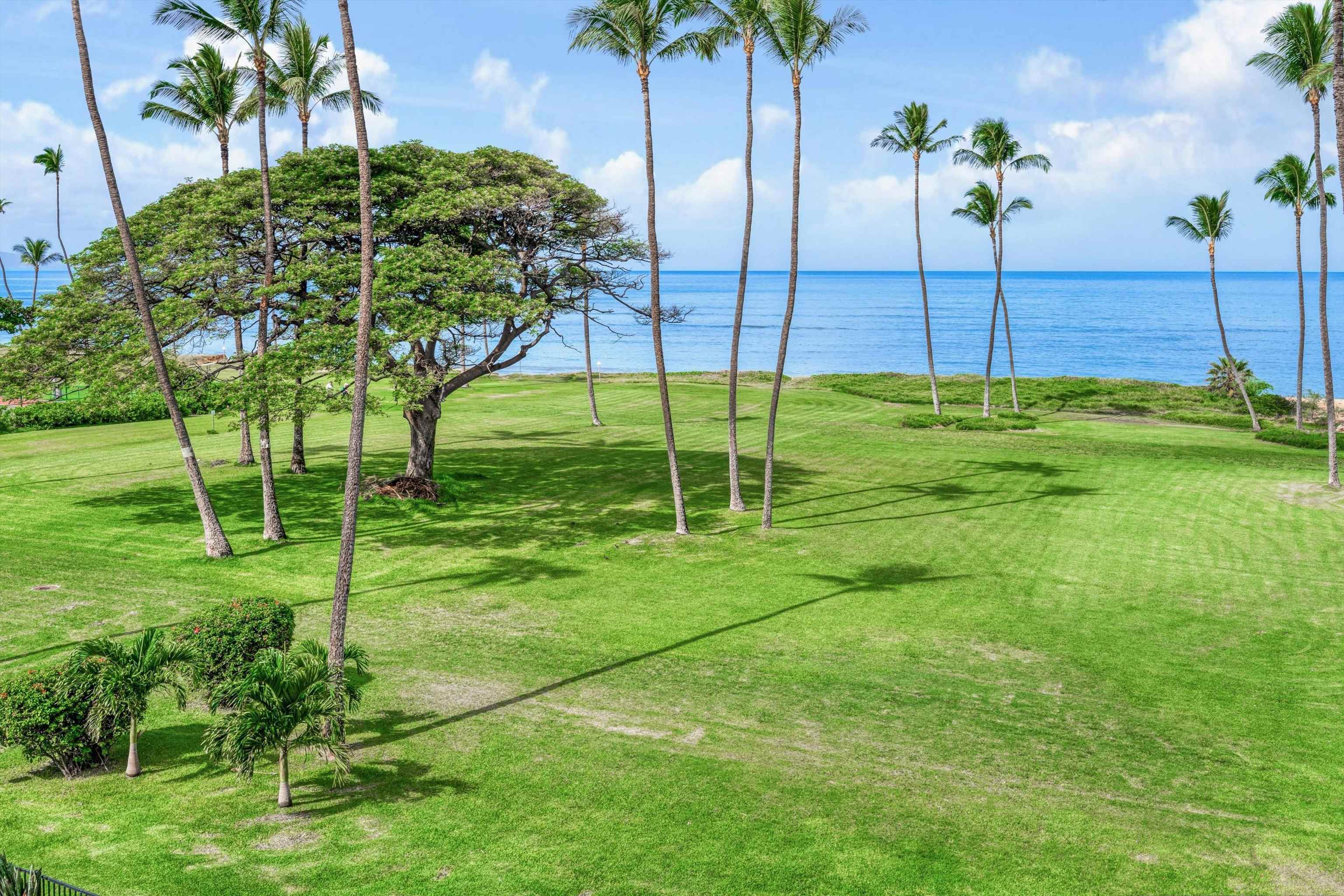 Leinaala condo # 404, Kihei, Hawaii - photo 44 of 45