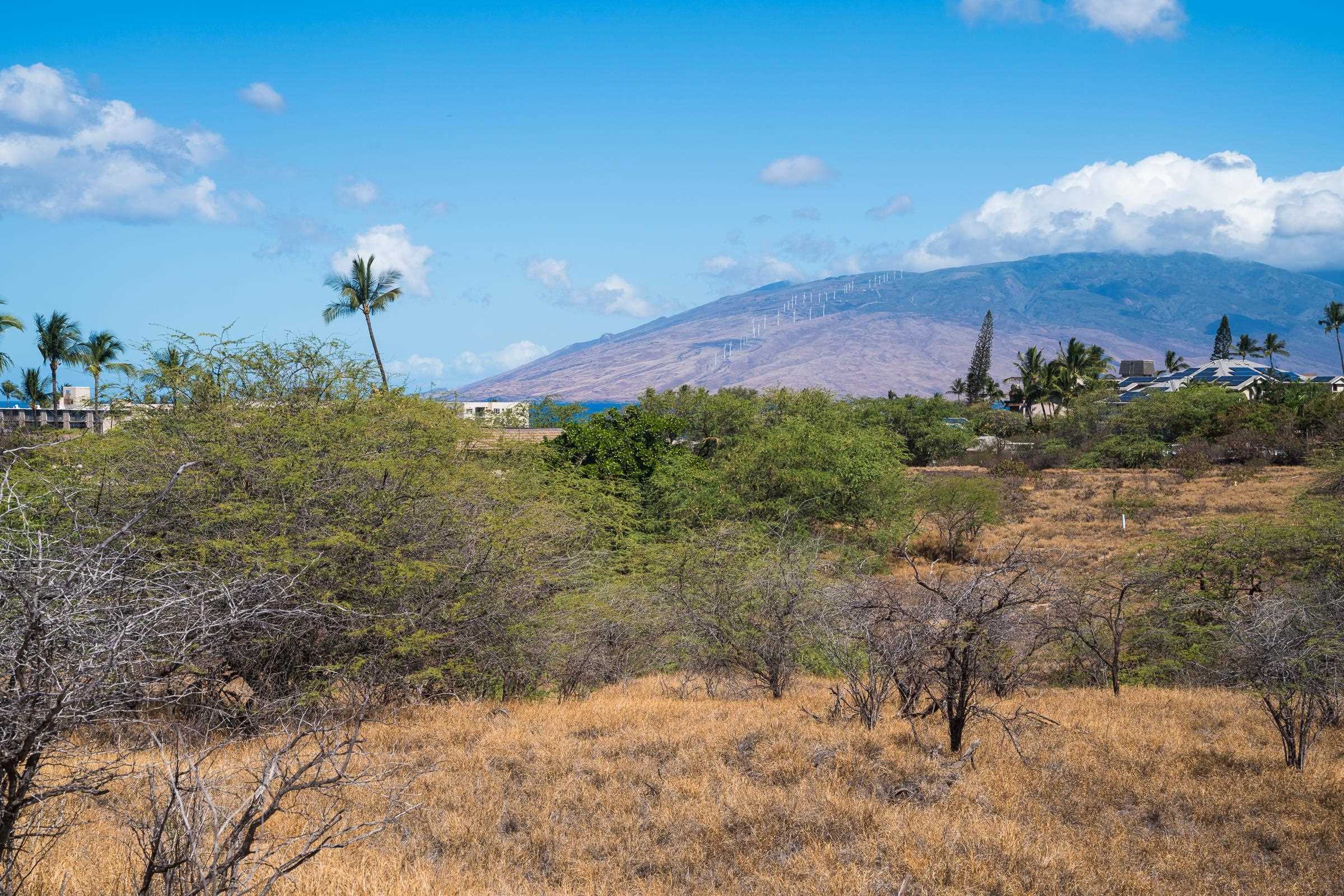 Alaku Pl  Kihei, Hi vacant land for sale - photo 11 of 21