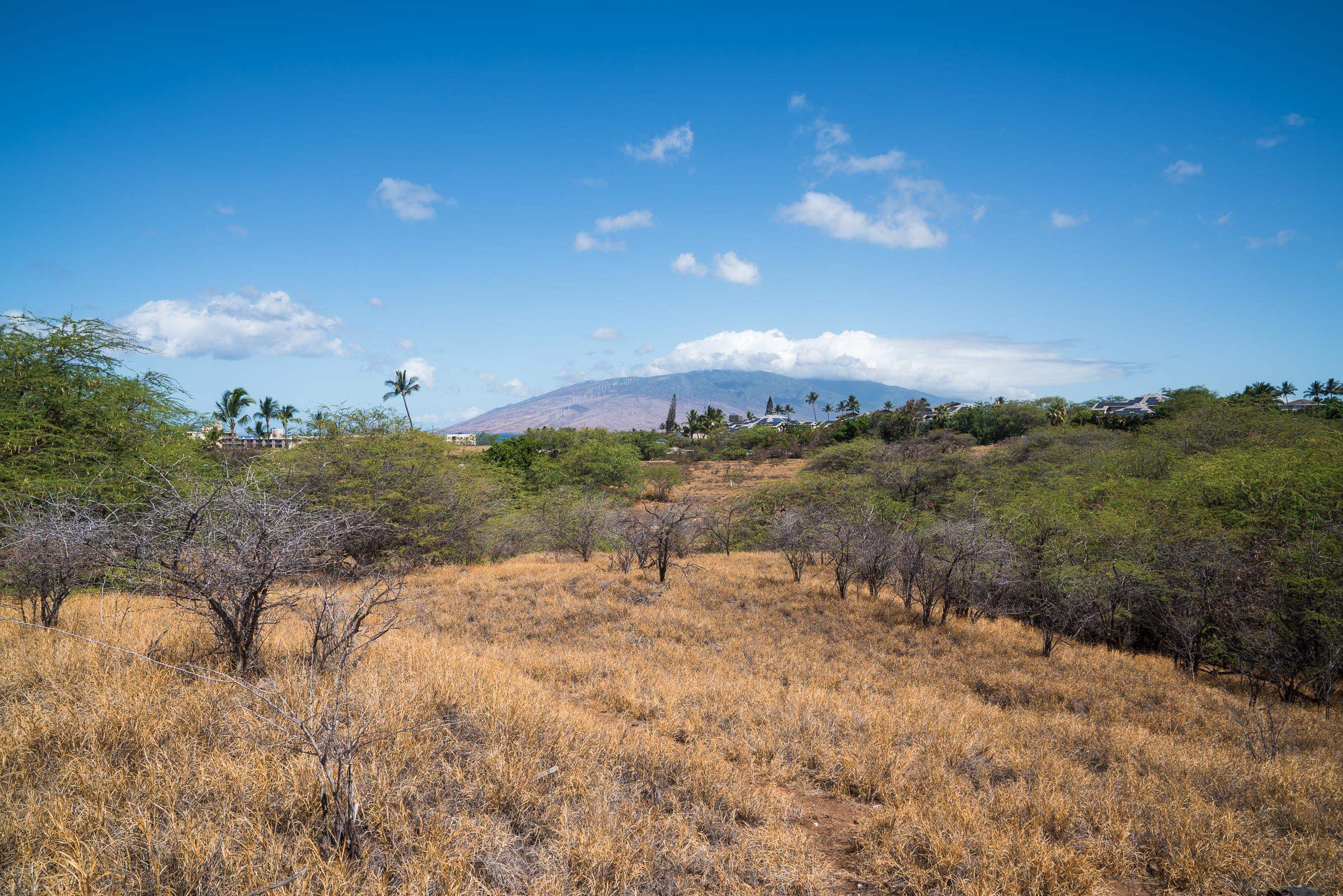 Alaku Pl  Kihei, Hi vacant land for sale - photo 13 of 21