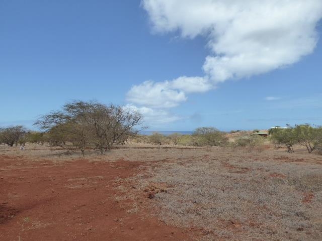 0 AWAWA Rd 148 Maunaloa, Hi vacant land for sale - photo 18 of 23