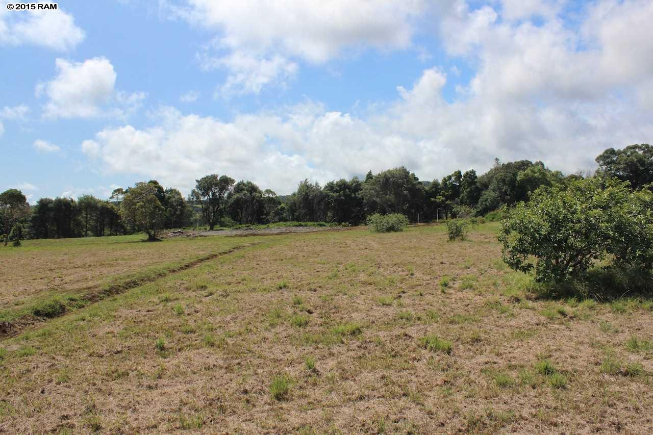 0 Burns Rd Lot 10 , Hi vacant land for sale - photo 12 of 14