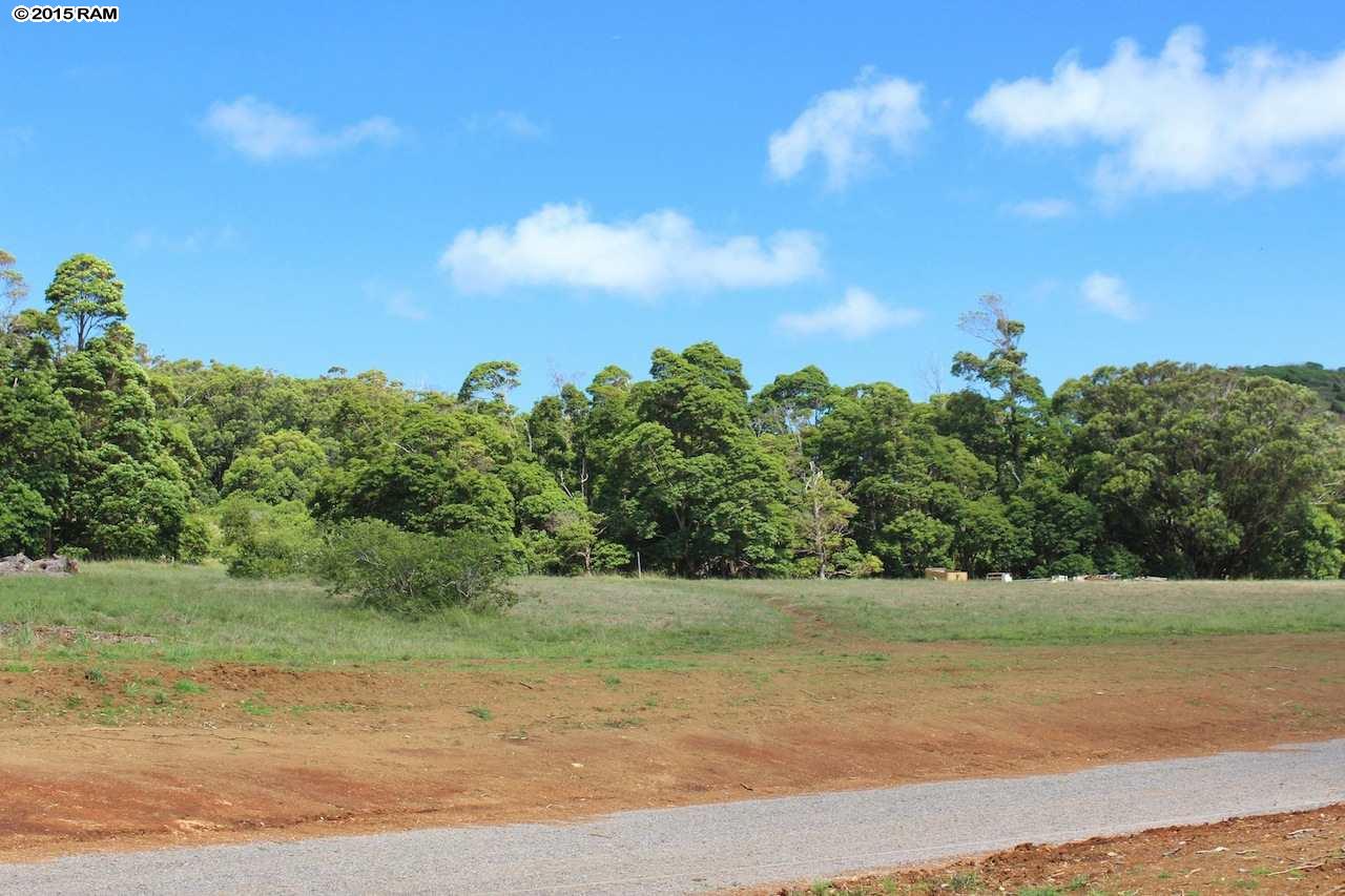 0 Burns Rd Lot 10 , Hi vacant land for sale - photo 14 of 14