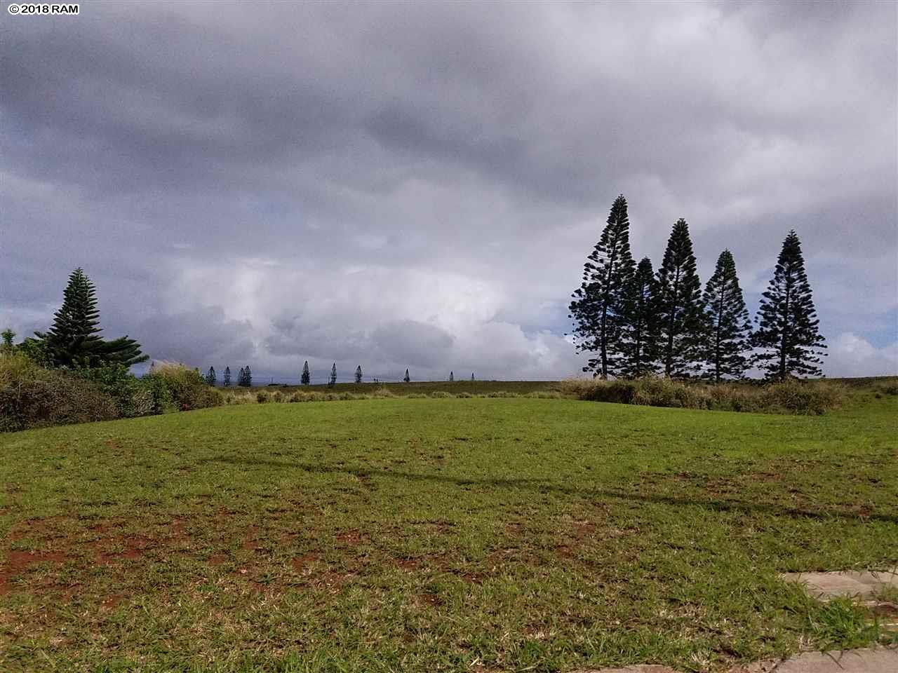D-97 Ka'ana St  Maunaloa, Hi vacant land for sale - photo 4 of 7