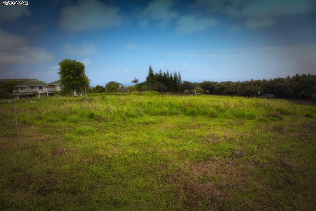 0 Hakuhee Way 9a Wailuku, Hi vacant land for sale - photo 17 of 30