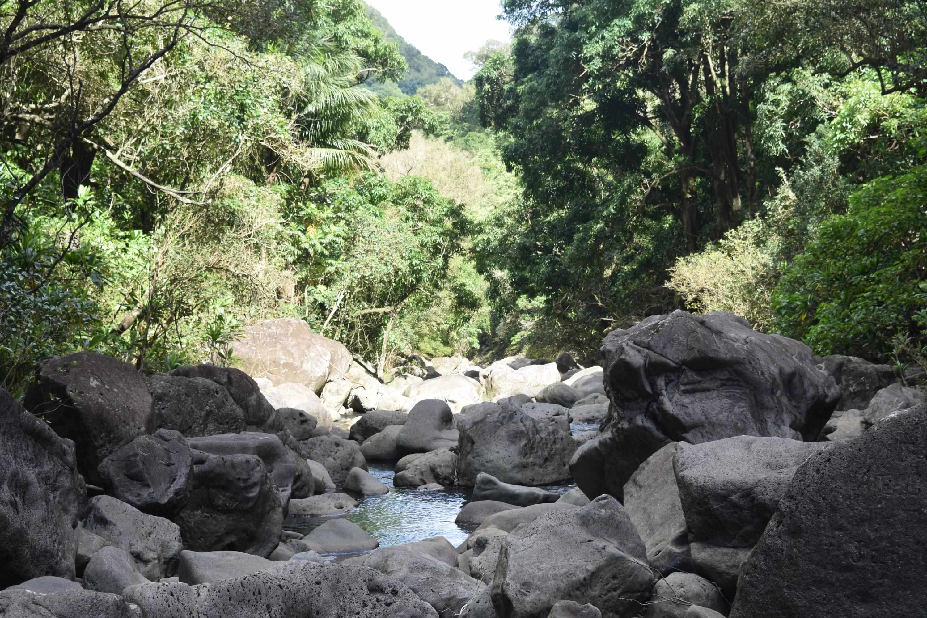 0 Halawa Pl  Kaunakakai, Hi vacant land for sale - photo 3 of 5