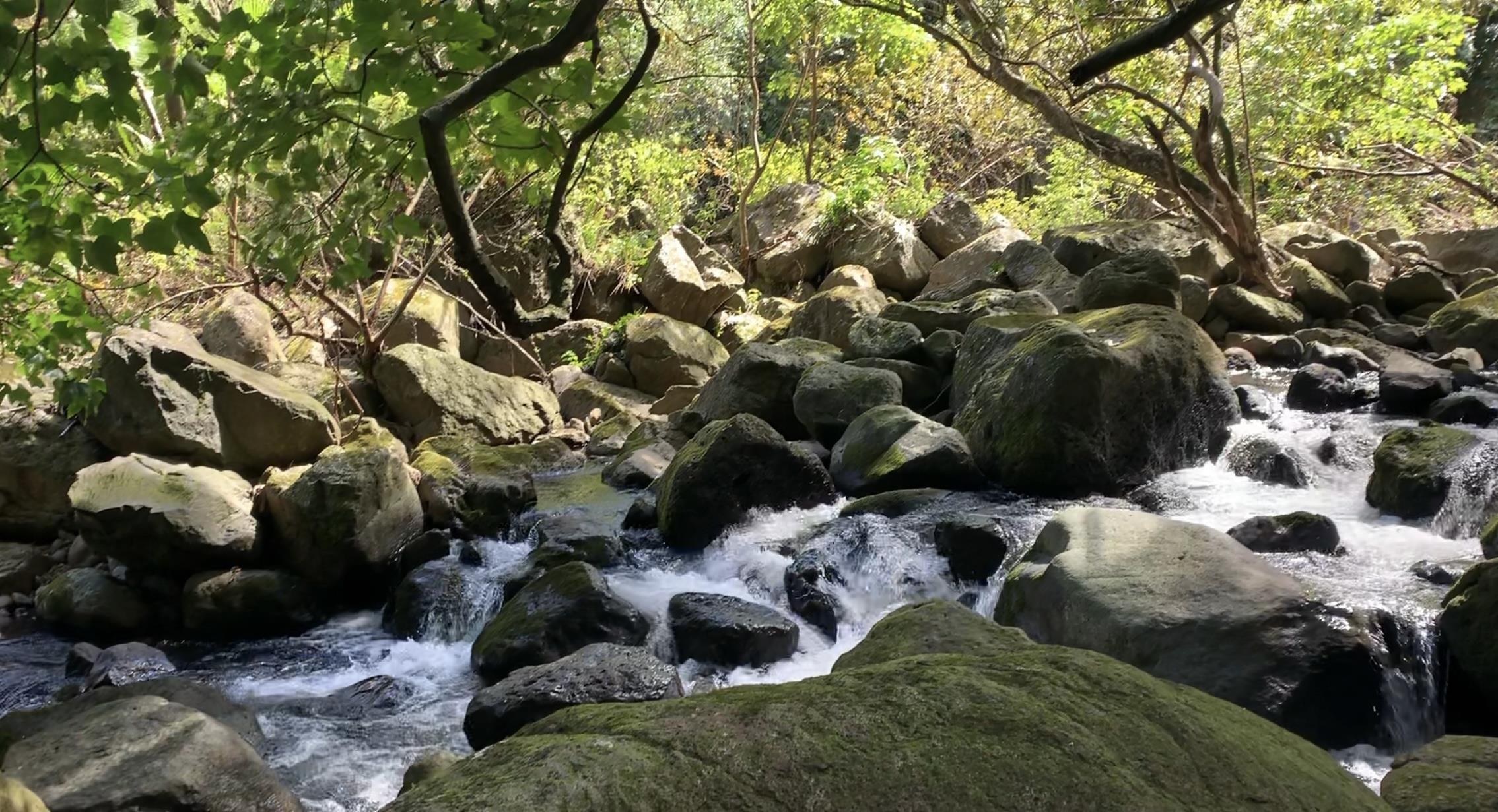 0 Halawa Pl  Kaunakakai, Hi vacant land for sale - photo 4 of 5