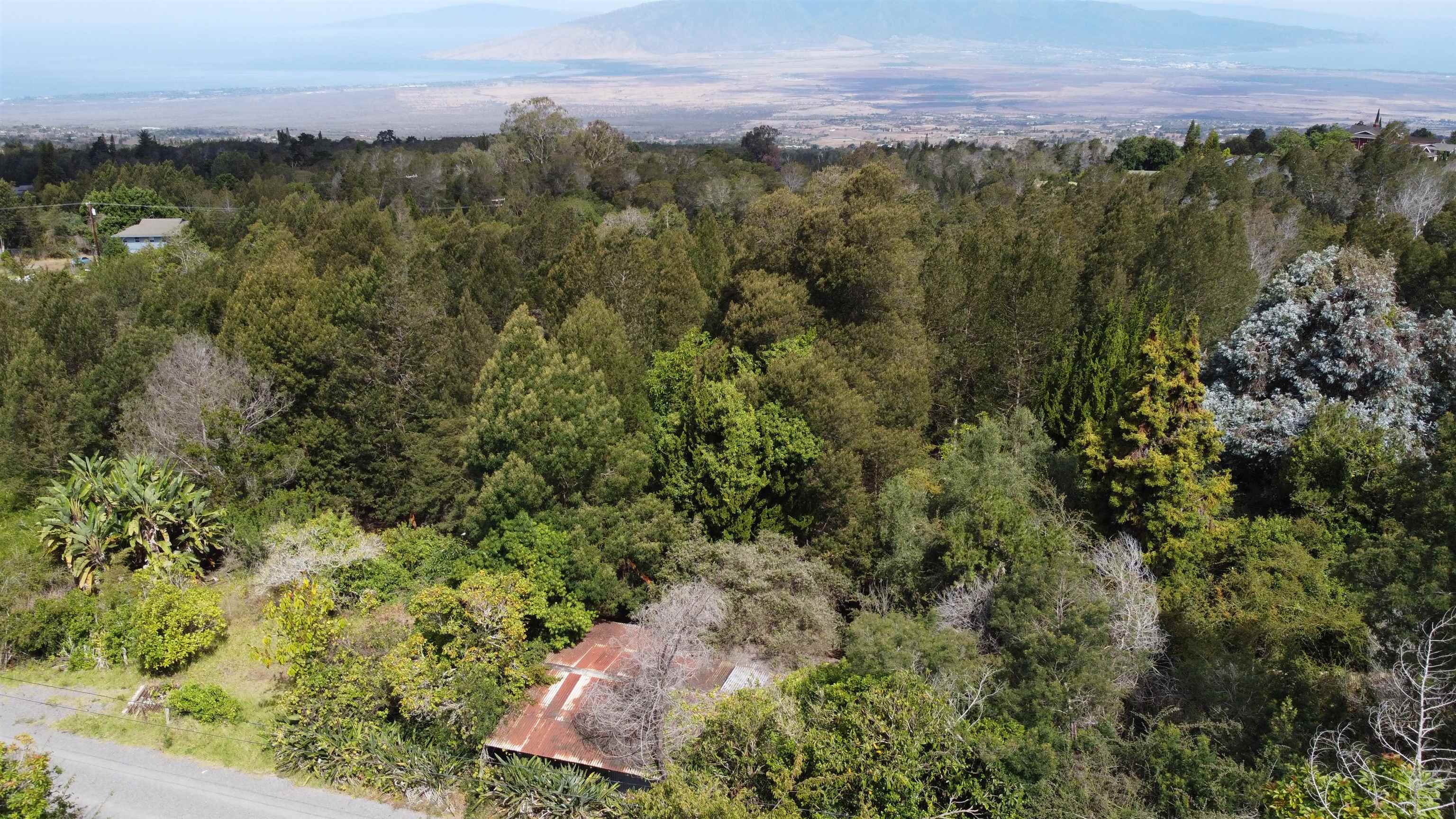 Haleakala Hwy  Kula, Hi 96790 vacant land - photo 2 of 23