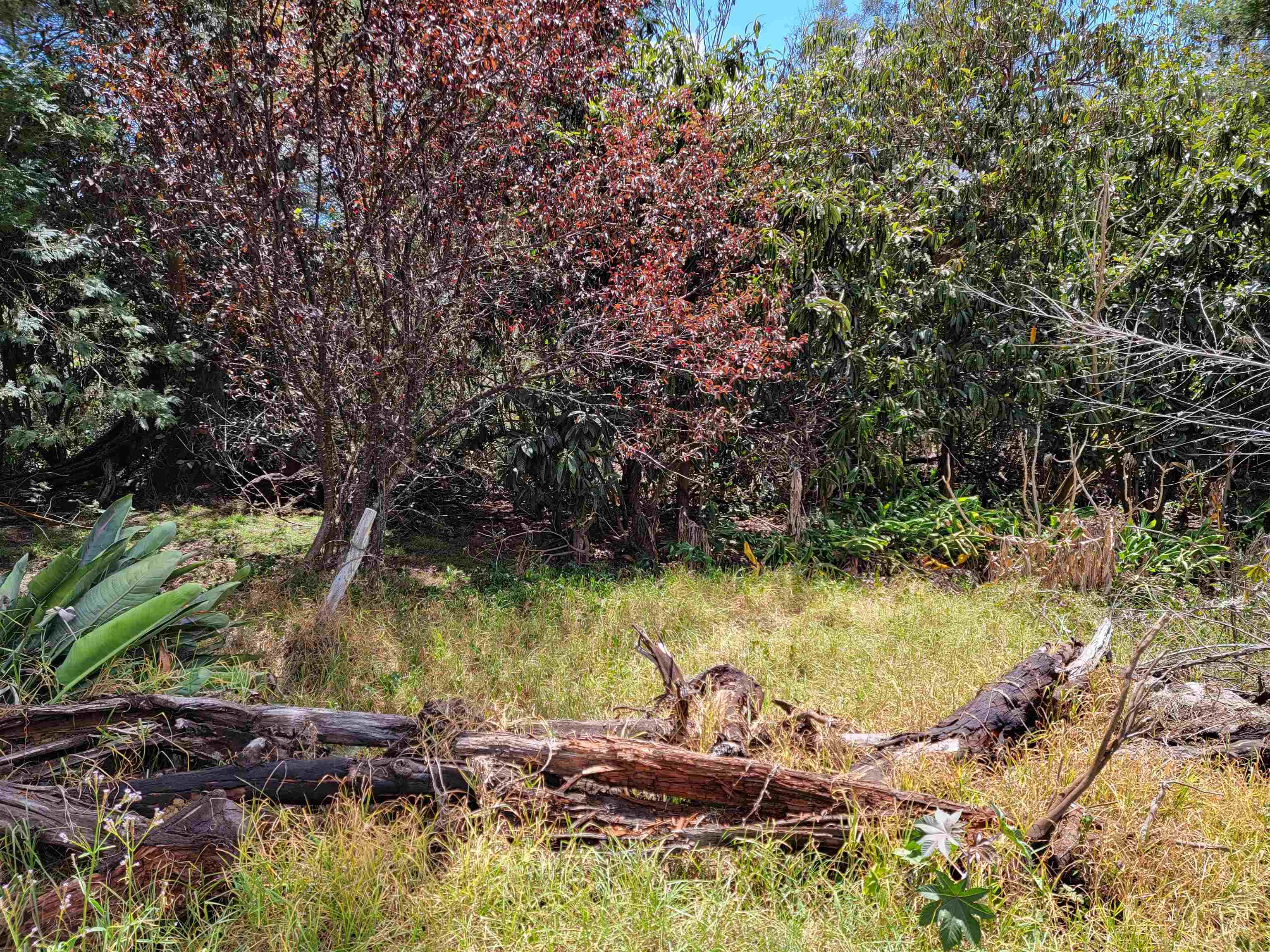 Haleakala Hwy  Kula, Hi 96790 vacant land - photo 15 of 23