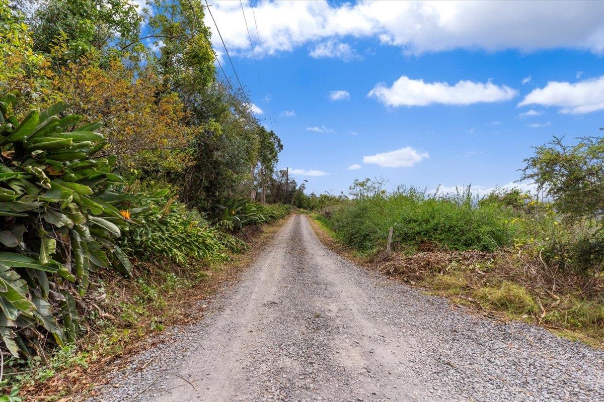 0 Haleakala Hwy  Kula, Hi vacant land for sale - photo 12 of 37