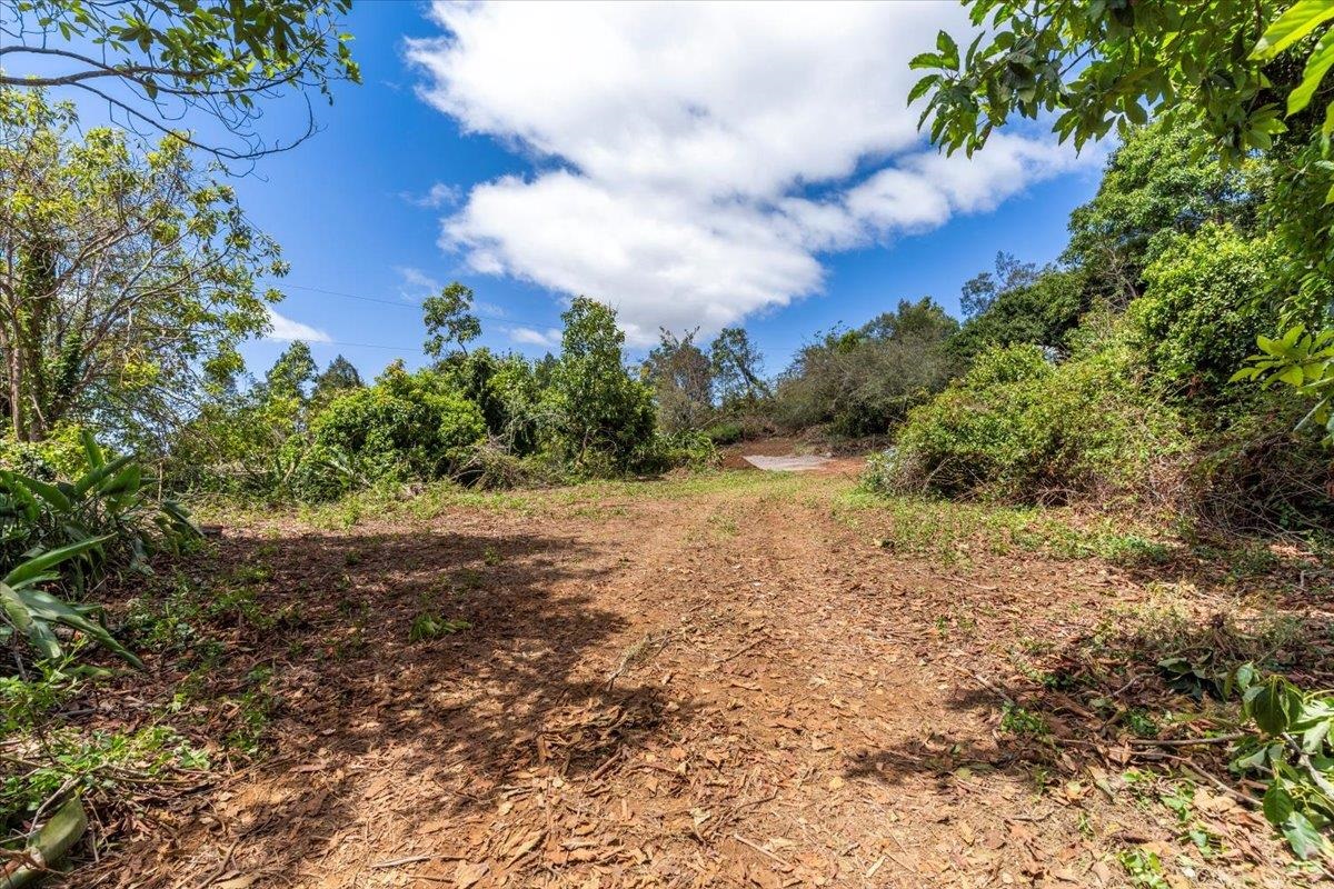 0 Haleakala Hwy  Kula, Hi vacant land for sale - photo 15 of 37