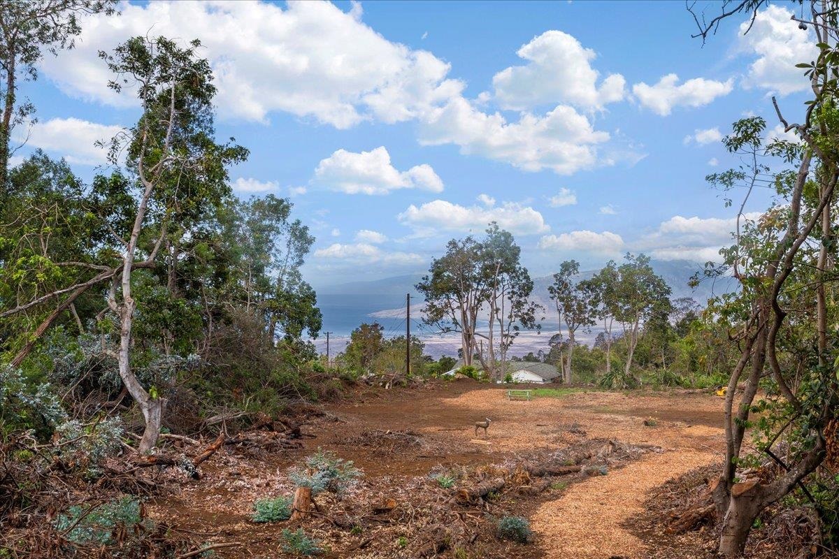 0 Haleakala Hwy  Kula, Hi vacant land for sale - photo 33 of 37