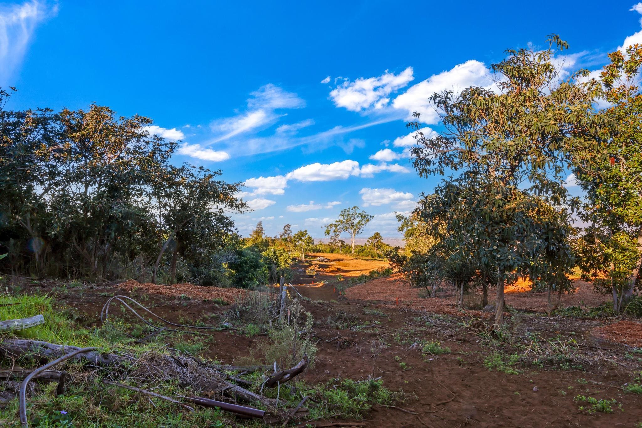 0 Haleakala Hwy   - photo 2 of 9