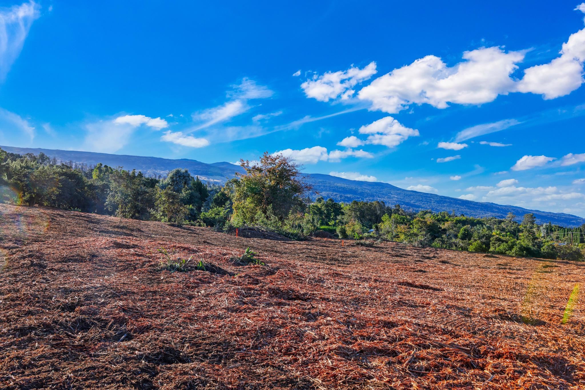 0 Haleakala Hwy   - photo 5 of 9