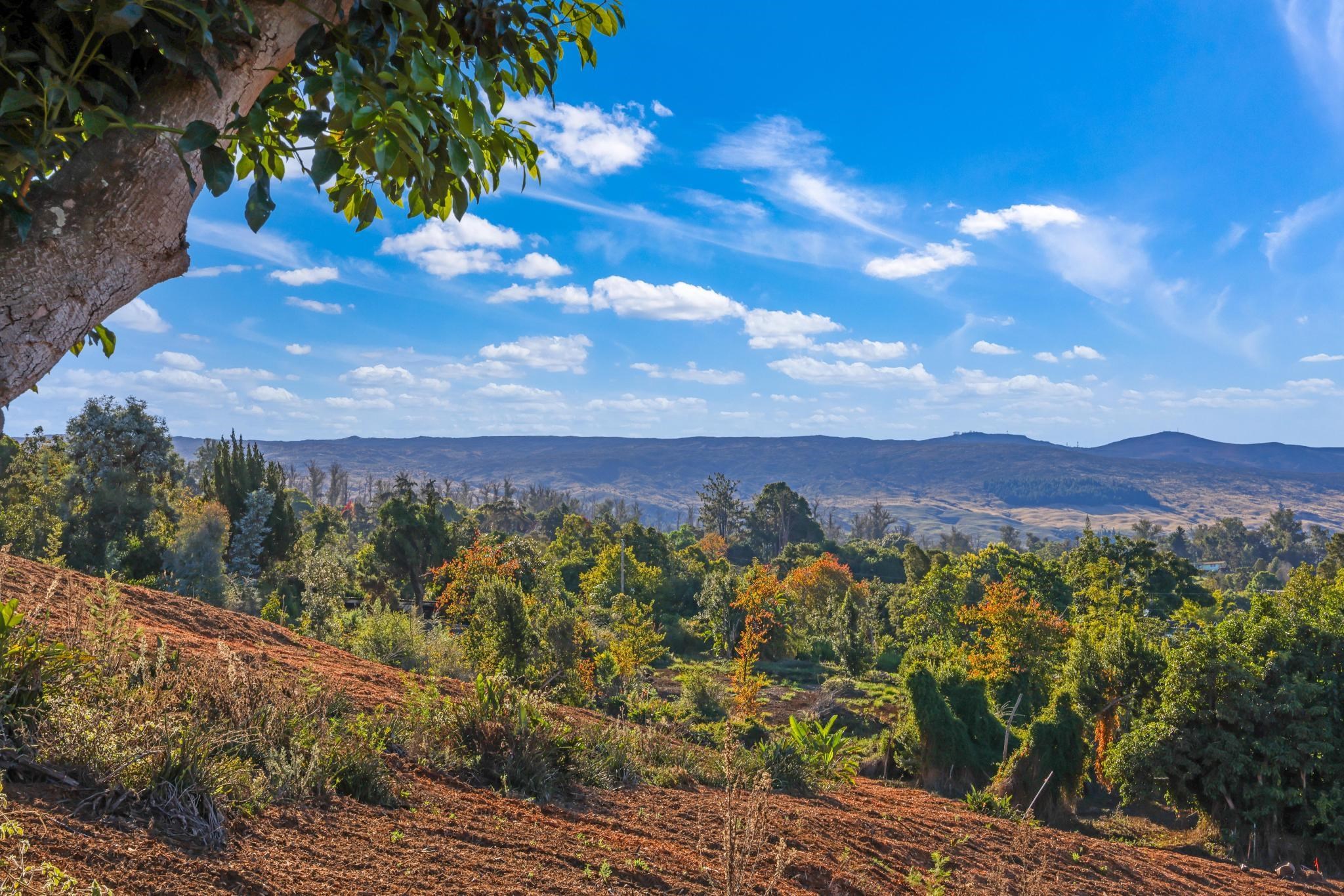 0 Haleakala Hwy   - photo 6 of 9