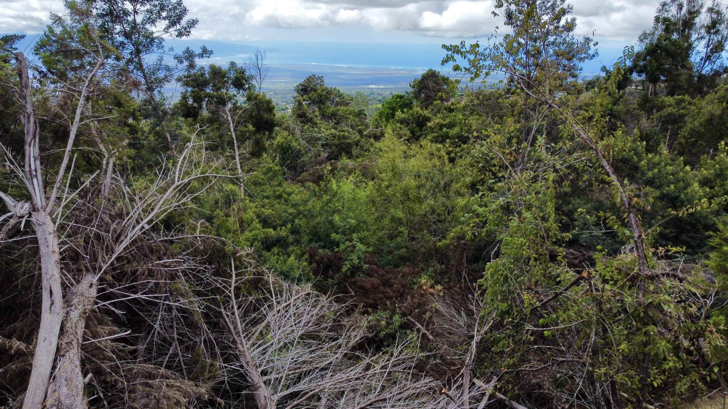 Haleakala Hwy Lot 32-B Kula, Hi vacant land for sale - photo 4 of 7