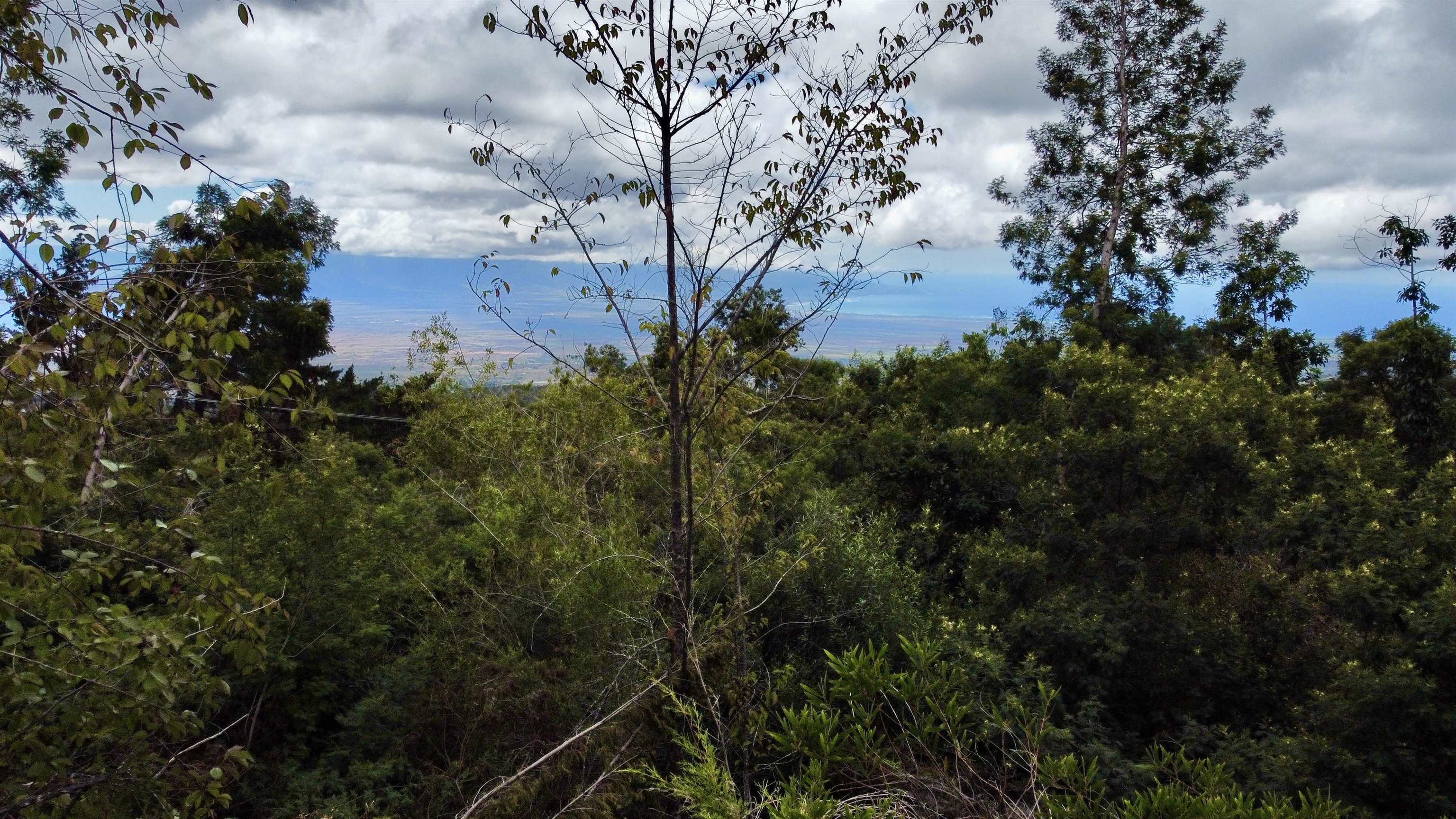 Haleakala Hwy Lot 32-B Kula, Hi vacant land for sale - photo 7 of 7