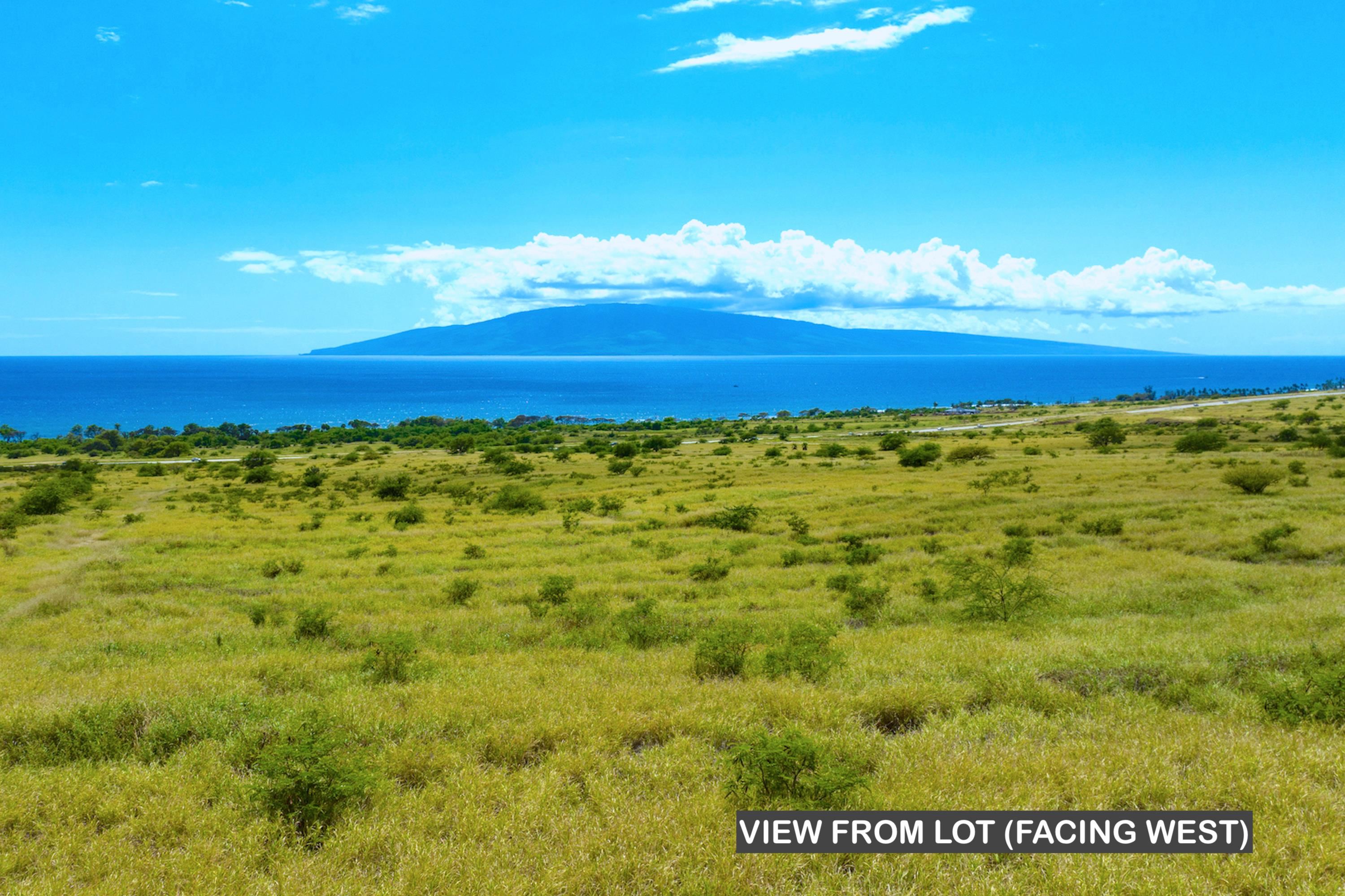 295  Haniu St Launiupoko, Lahaina home - photo 3 of 4