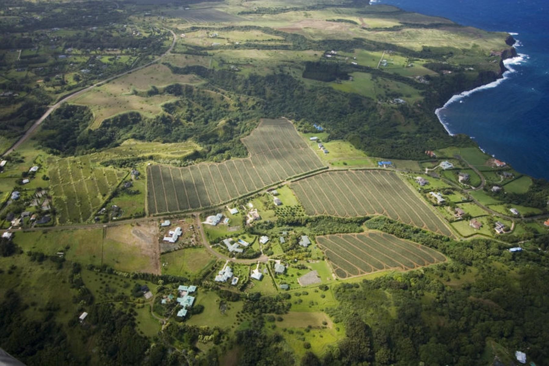 0 N Holokai Road  Haiku-Pauwela, Hi vacant land for sale - photo 4 of 6