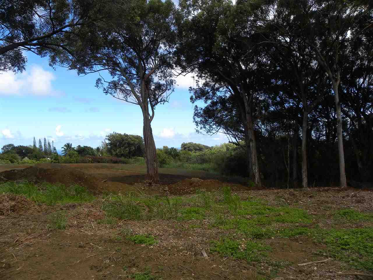 0 S Holokai Rd  , Hi vacant land for sale - photo 4 of 15