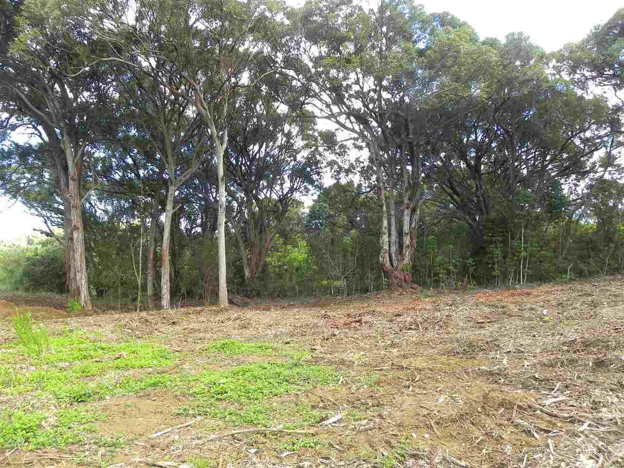 0 S Holokai Rd  , Hi vacant land for sale - photo 5 of 15