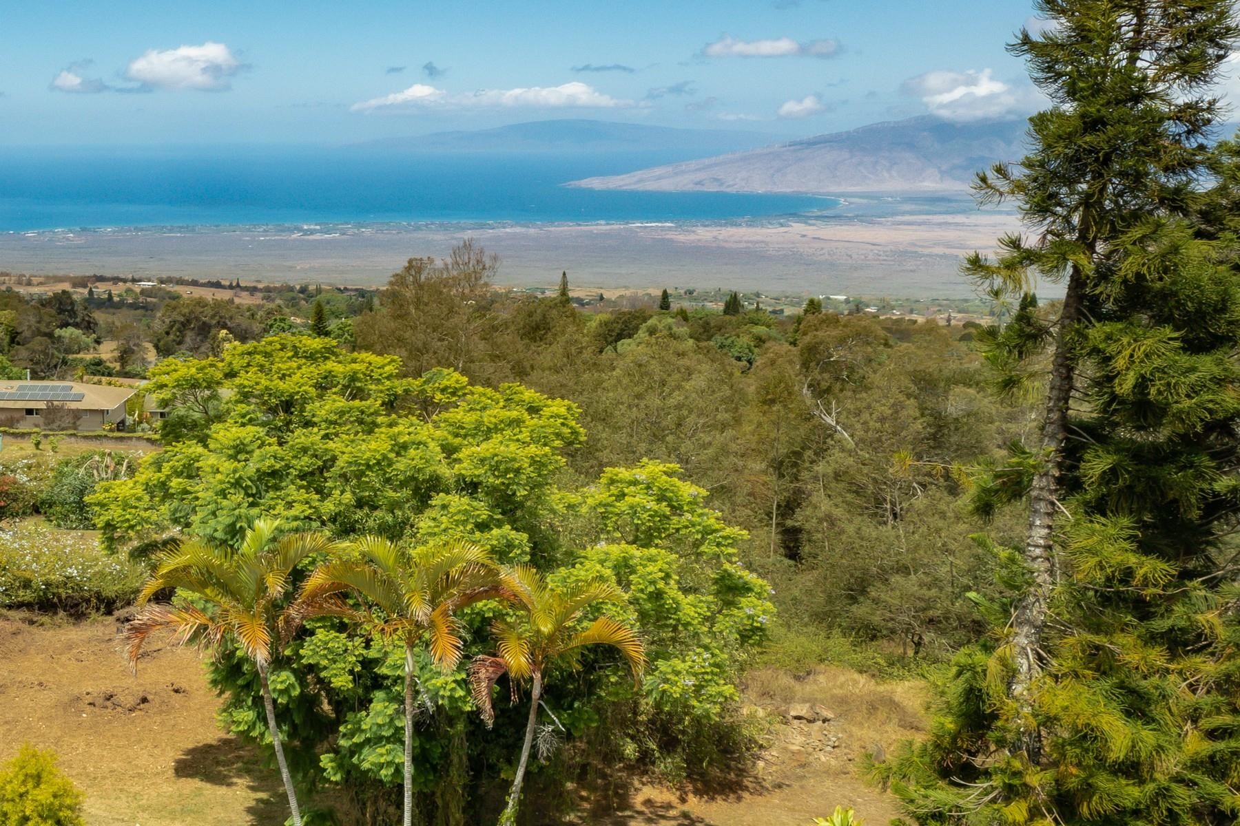 0 Holomakani Pl , Kula, Hi 96790 Kula Highlands