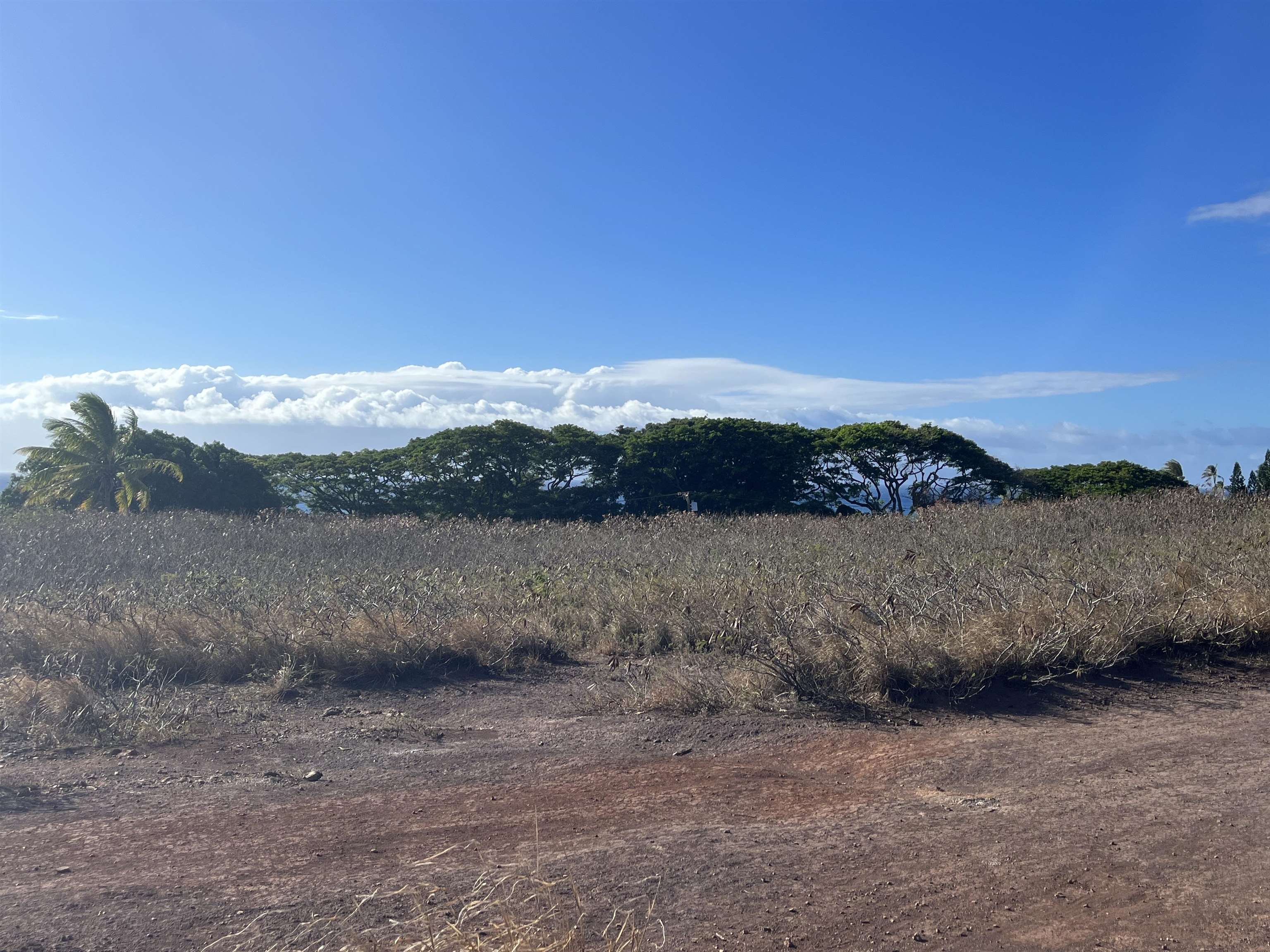 0 Honoapiilani Hwy  Lahaina, Hi vacant land for sale - photo 4 of 13