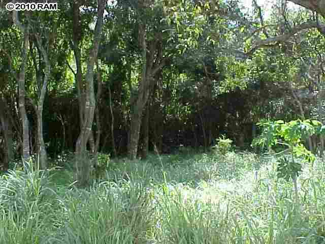 Honokohau St  Lahaina, Hi vacant land for sale - photo 5 of 16