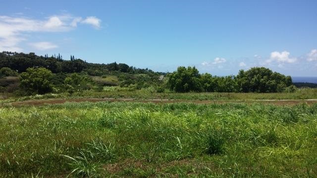 0 Hookili Rd Peahi  , Hi vacant land for sale - photo 3 of 10