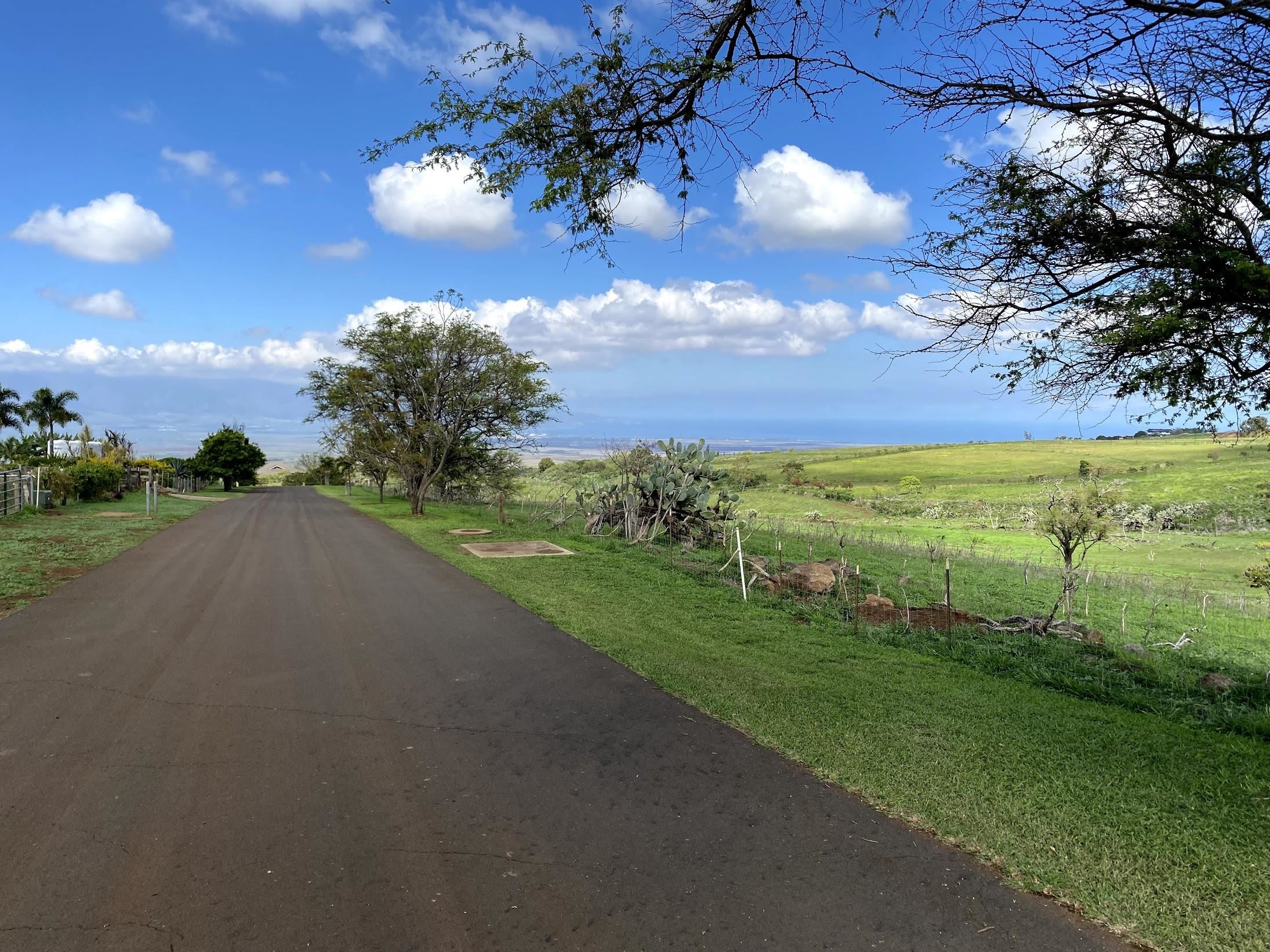 Ho'omaika'i Place  Kula, Hi vacant land for sale - photo 4 of 10