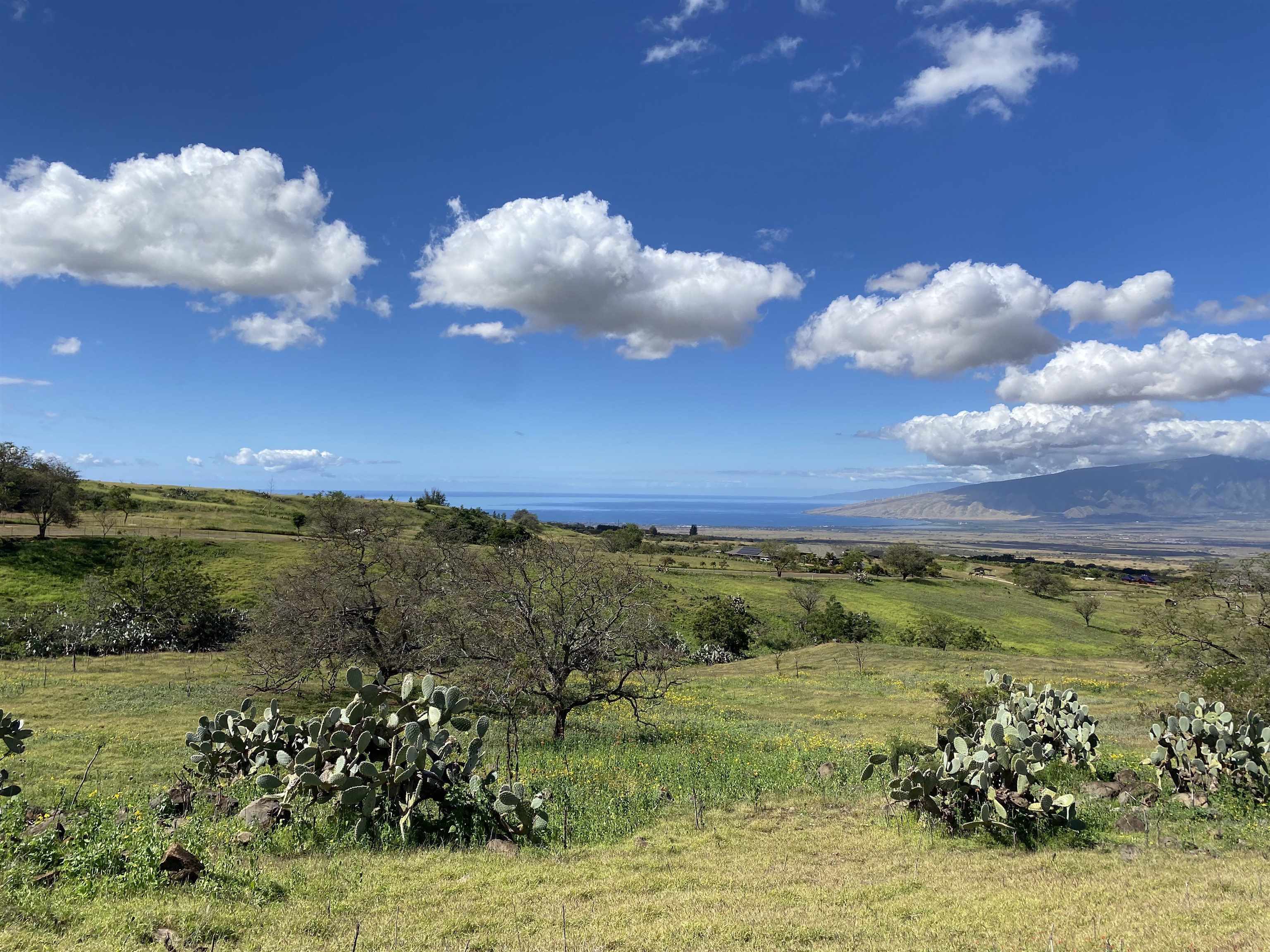 Ho'omaika'i Place  Kula, Hi vacant land for sale - photo 5 of 10