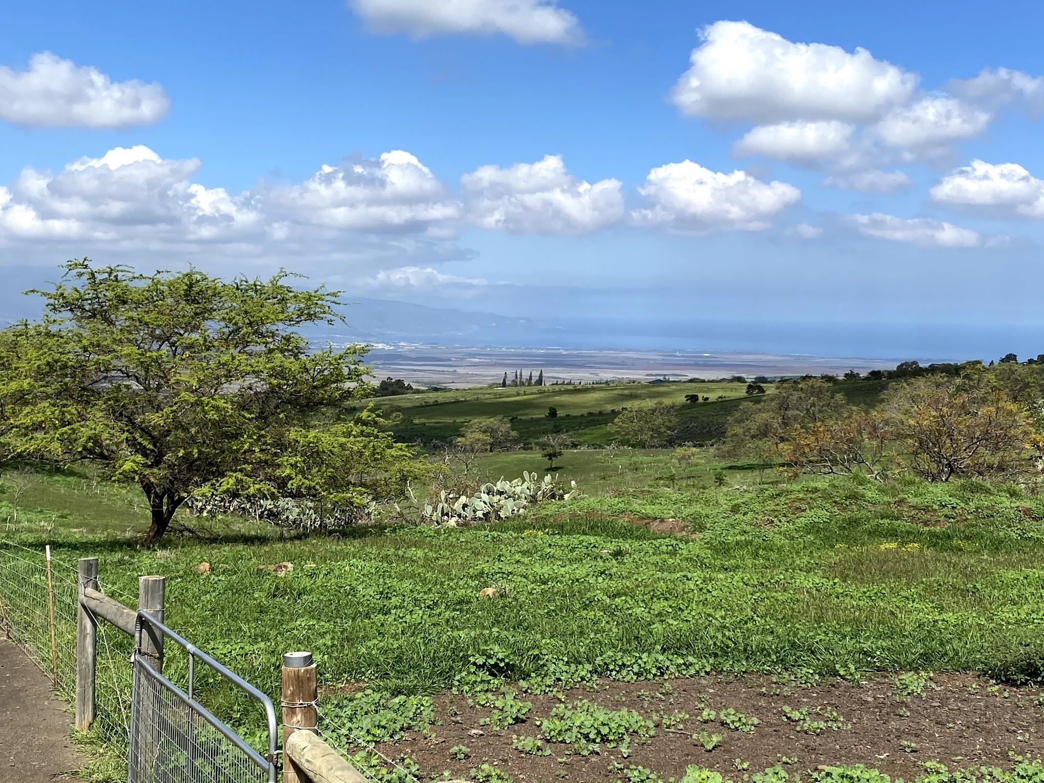 Ho'omaika'i Place  Kula, Hi vacant land for sale - photo 7 of 10