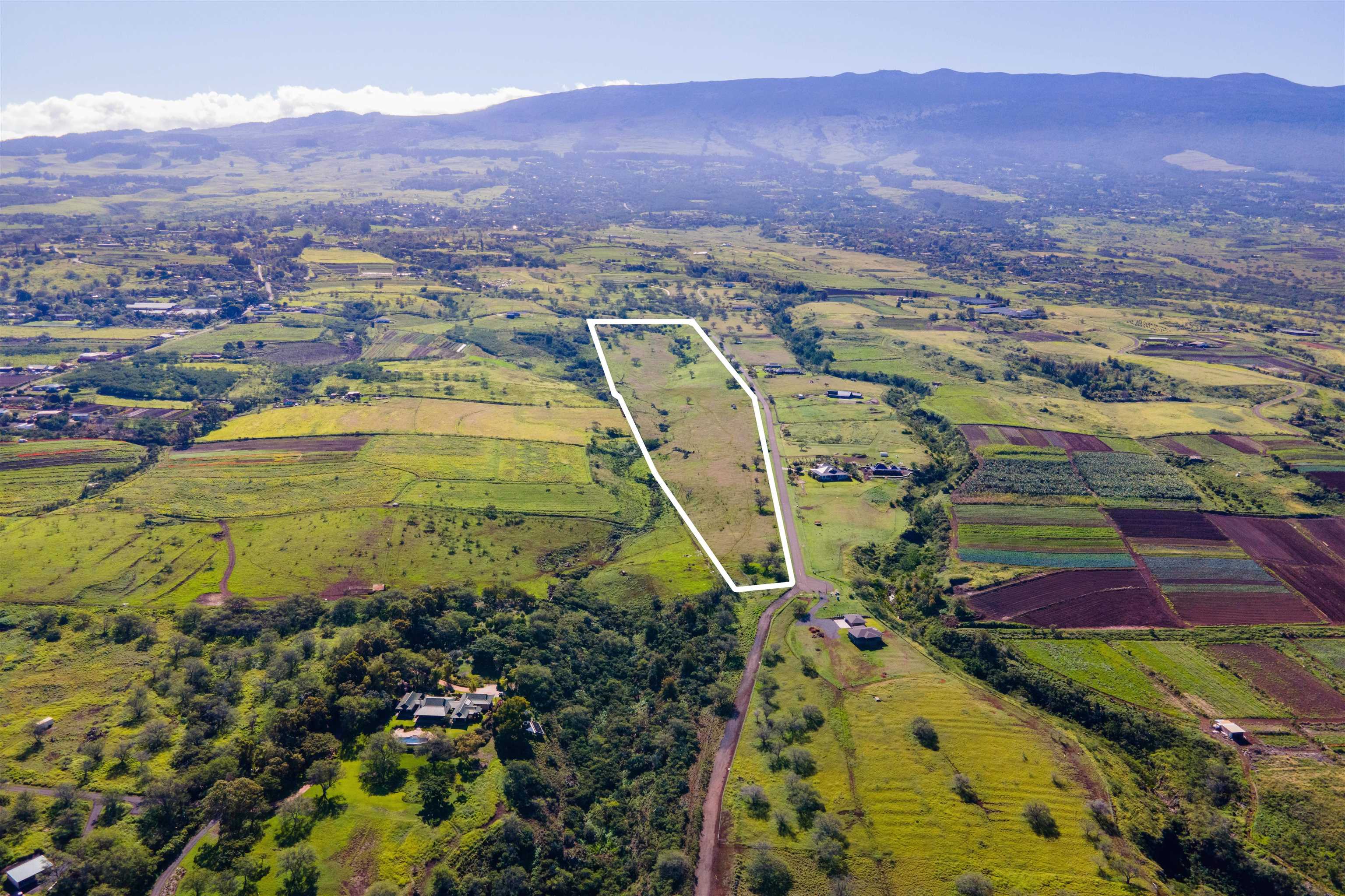 Ho'omaika'i Place Lot 7 Kula, Hi vacant land for sale - photo 3 of 9