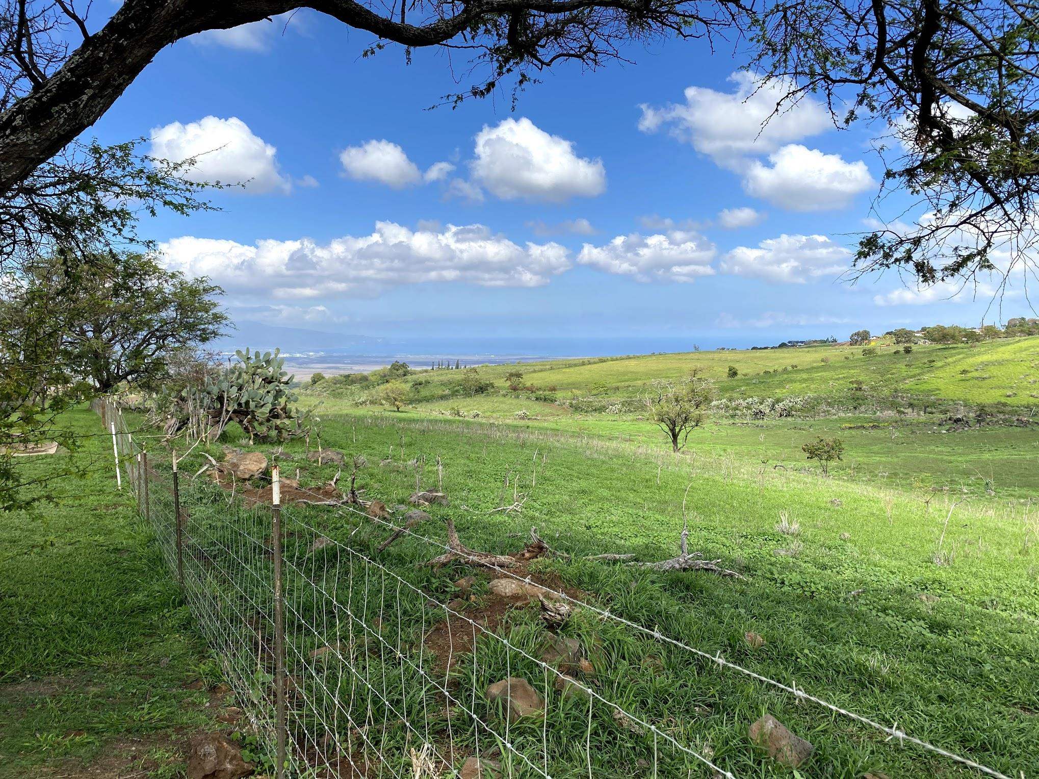 Ho'omaika'i Place Lot 7 Kula, Hi vacant land for sale - photo 5 of 9