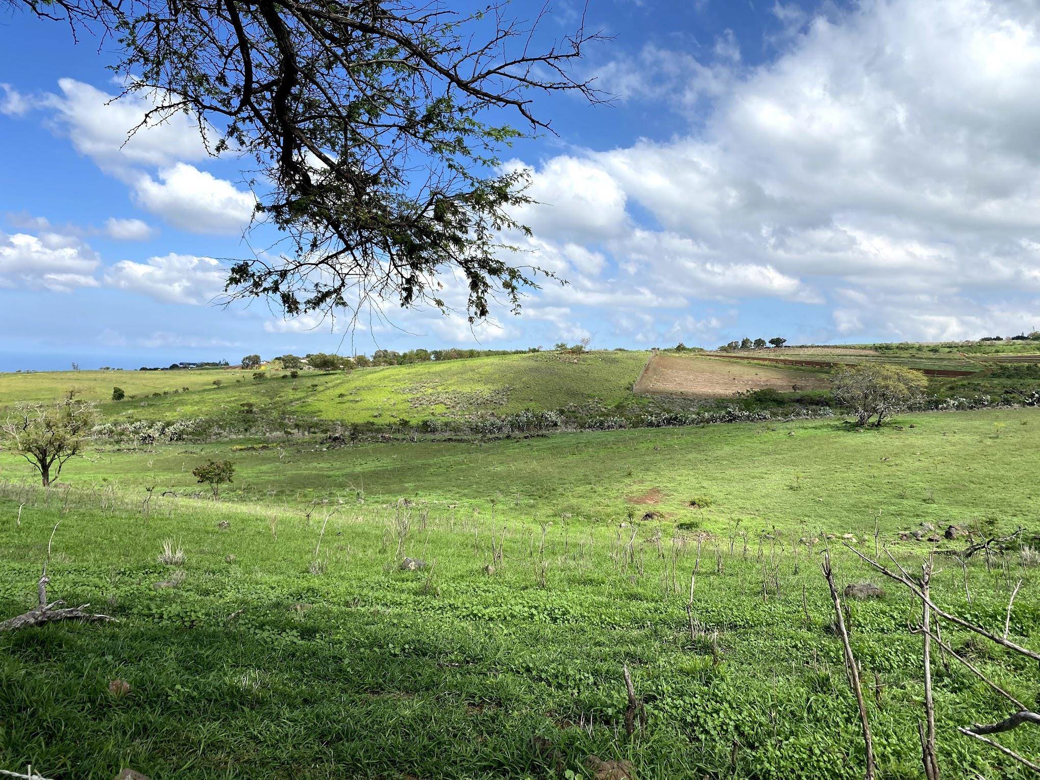 Ho'omaika'i Place Lot 7 Kula, Hi vacant land for sale - photo 6 of 9