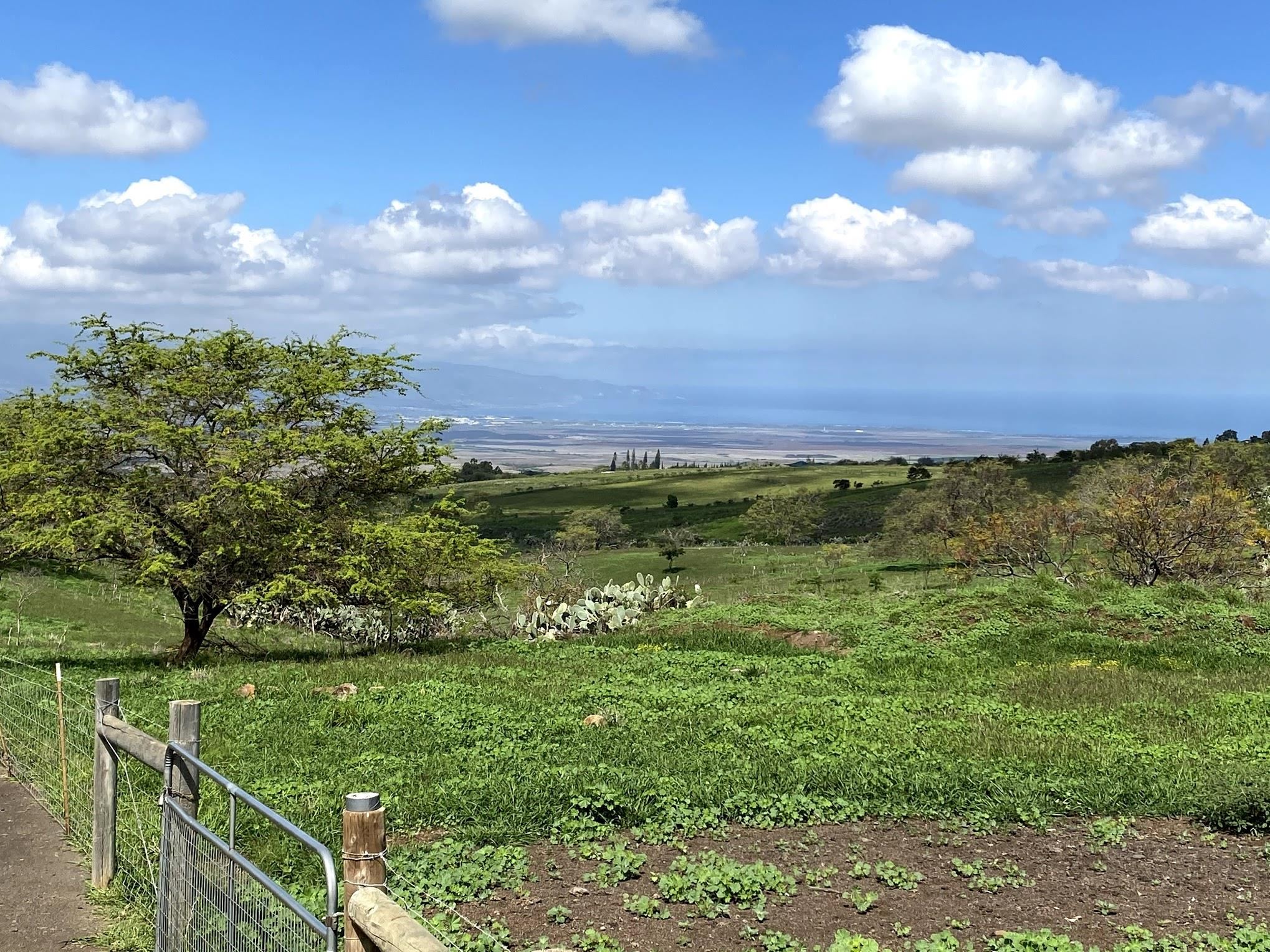 Ho'omaika'i Place Lot 7 Kula, Hi vacant land for sale - photo 8 of 9