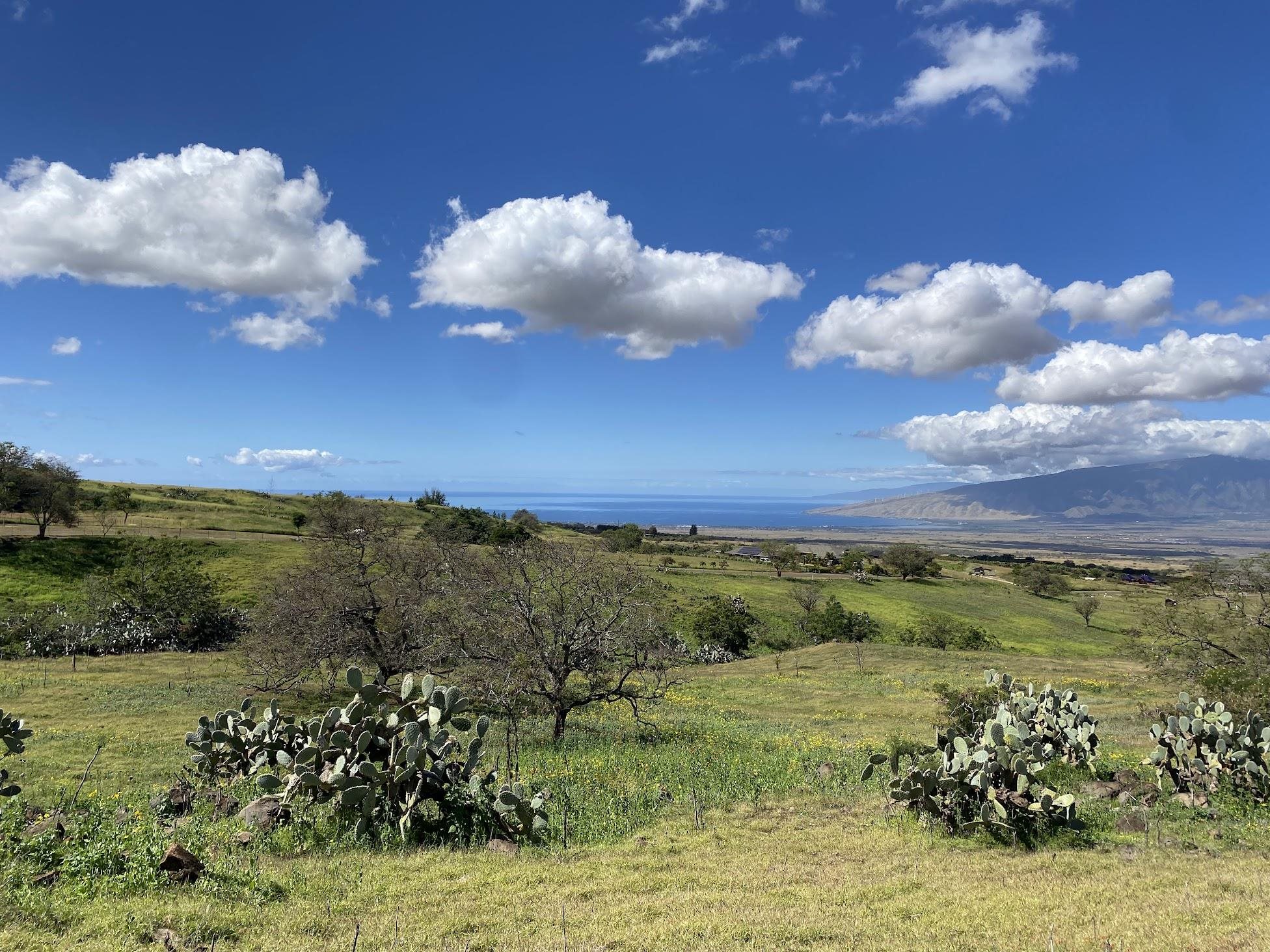 Ho'omaika'i Place Lot 7 Kula, Hi vacant land for sale - photo 9 of 9