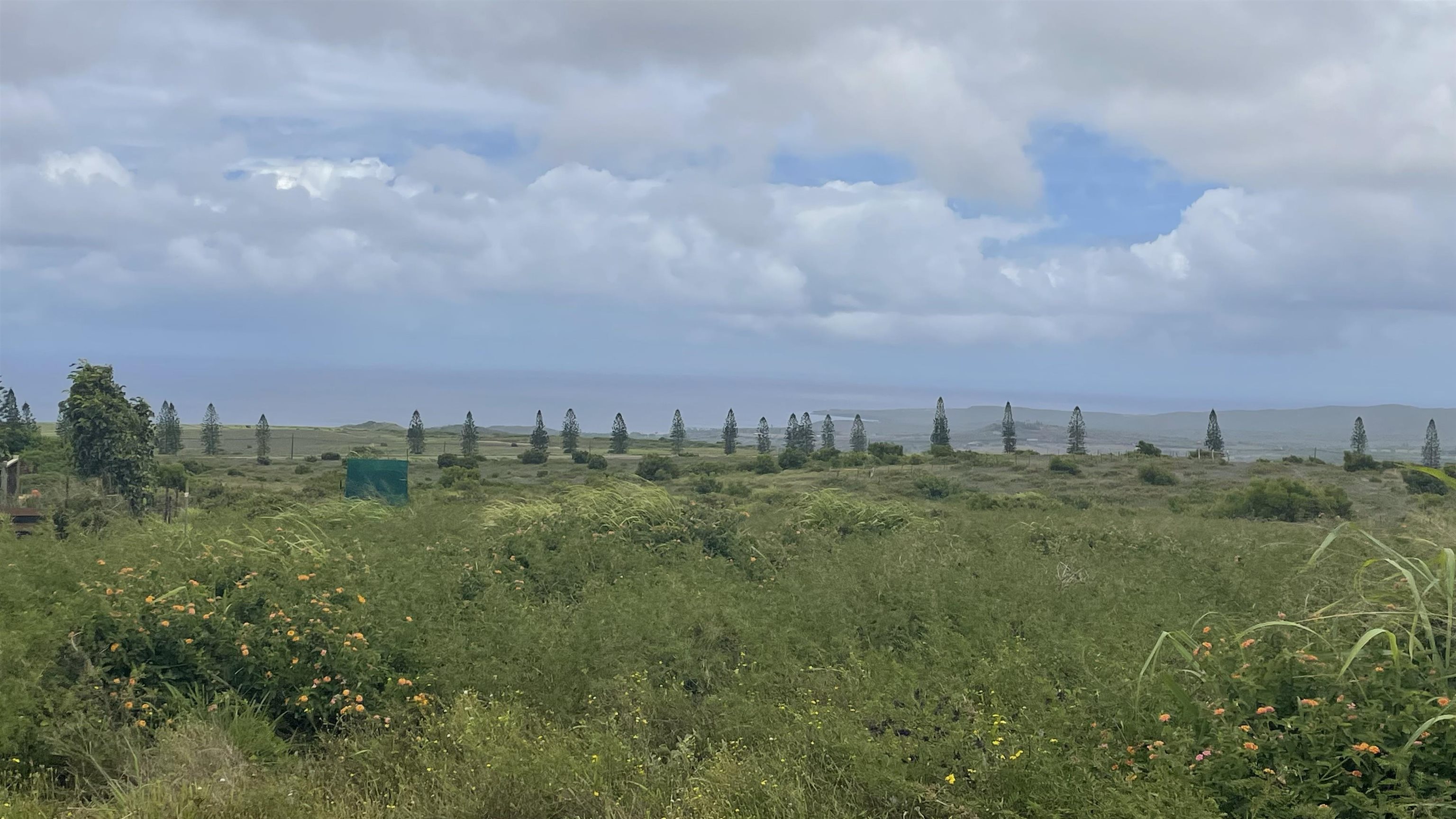 Kaana St  Maunaloa, Hi vacant land for sale - photo 2 of 22