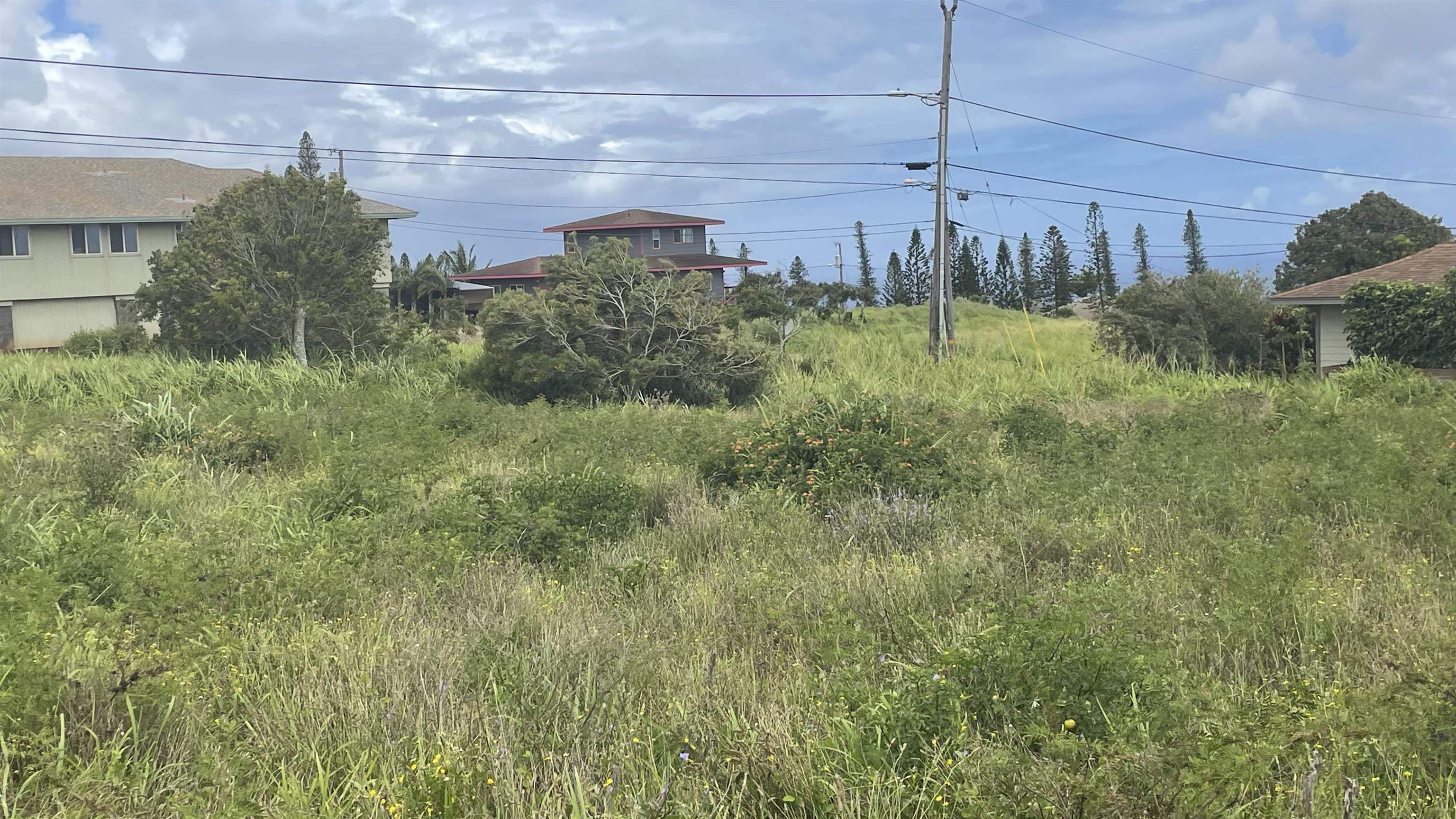 Kaana St  Maunaloa, Hi vacant land for sale - photo 11 of 22