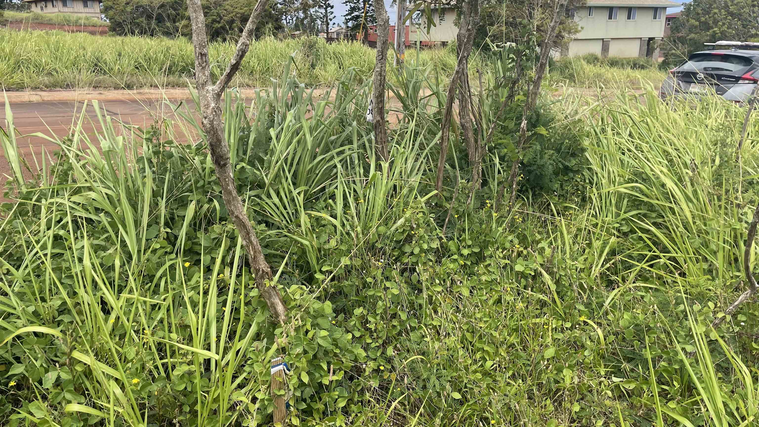 Kaana St  Maunaloa, Hi vacant land for sale - photo 15 of 22