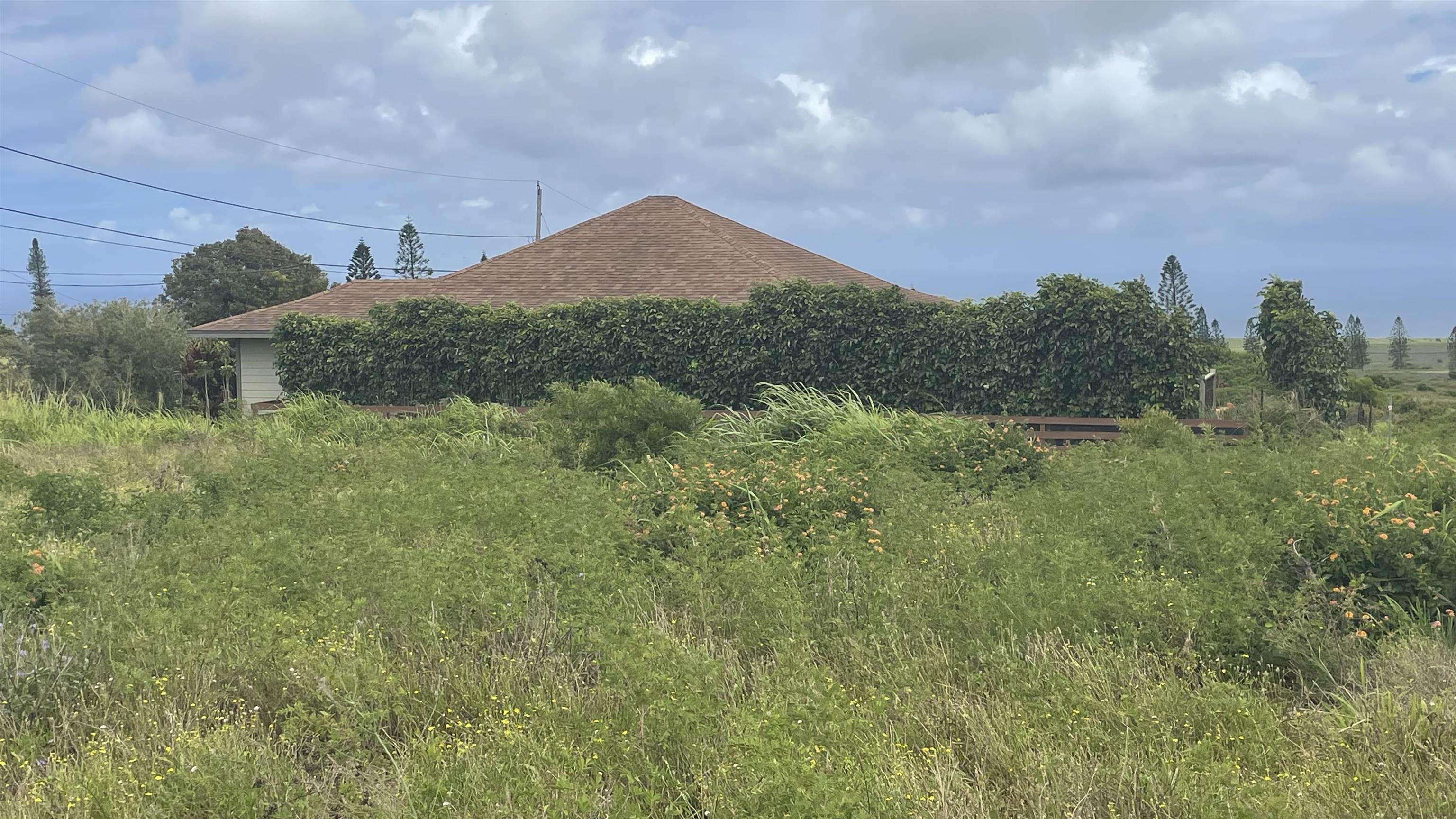Kaana St  Maunaloa, Hi vacant land for sale - photo 4 of 22