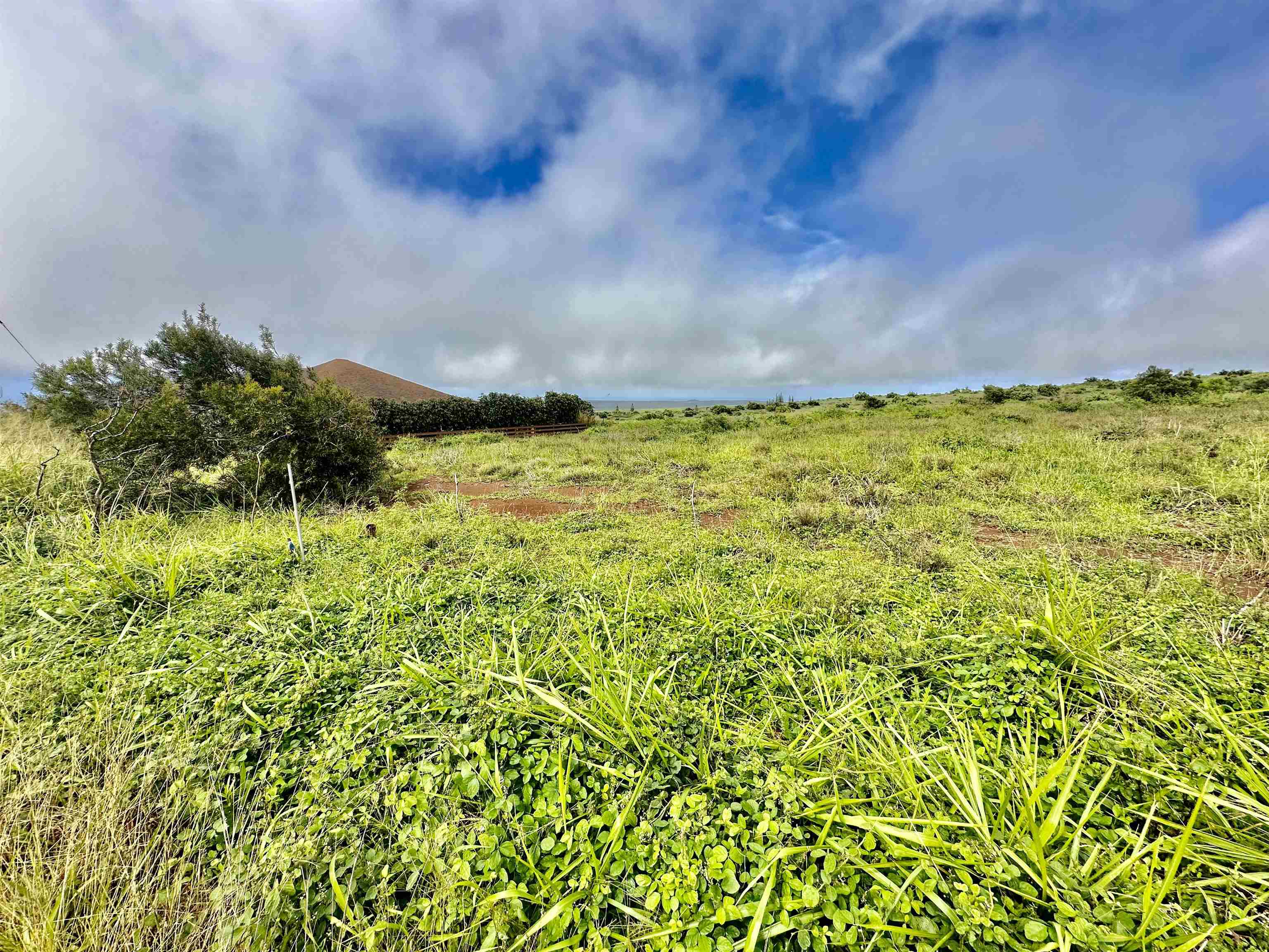 Kaana St  Maunaloa, Hi vacant land for sale - photo 5 of 22