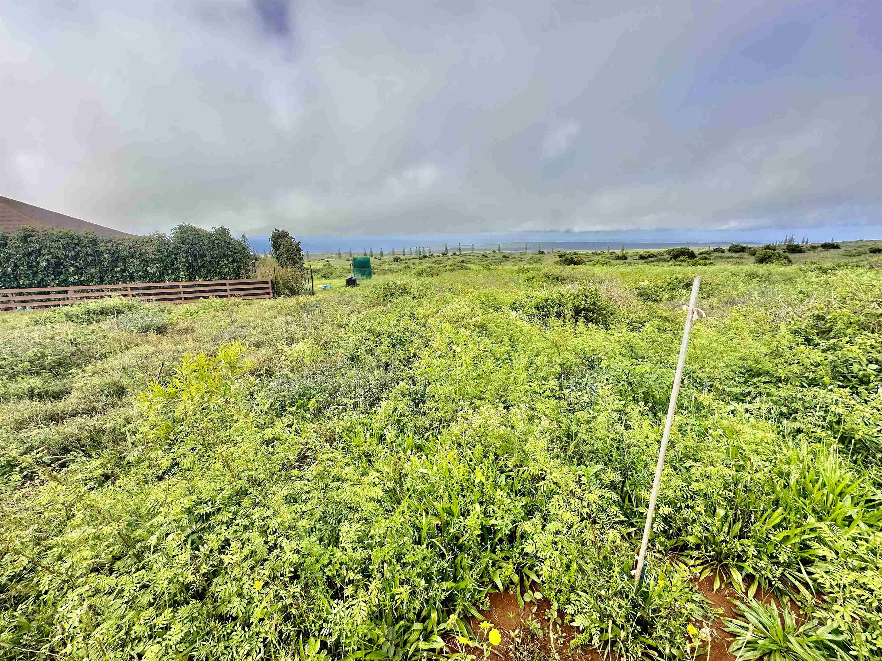 Kaana St  Maunaloa, Hi vacant land for sale - photo 6 of 22