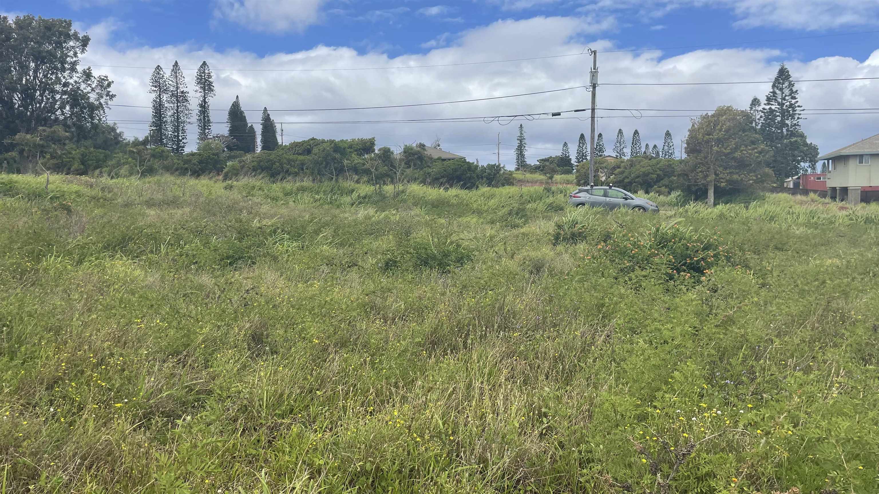 Kaana St  Maunaloa, Hi vacant land for sale - photo 7 of 22